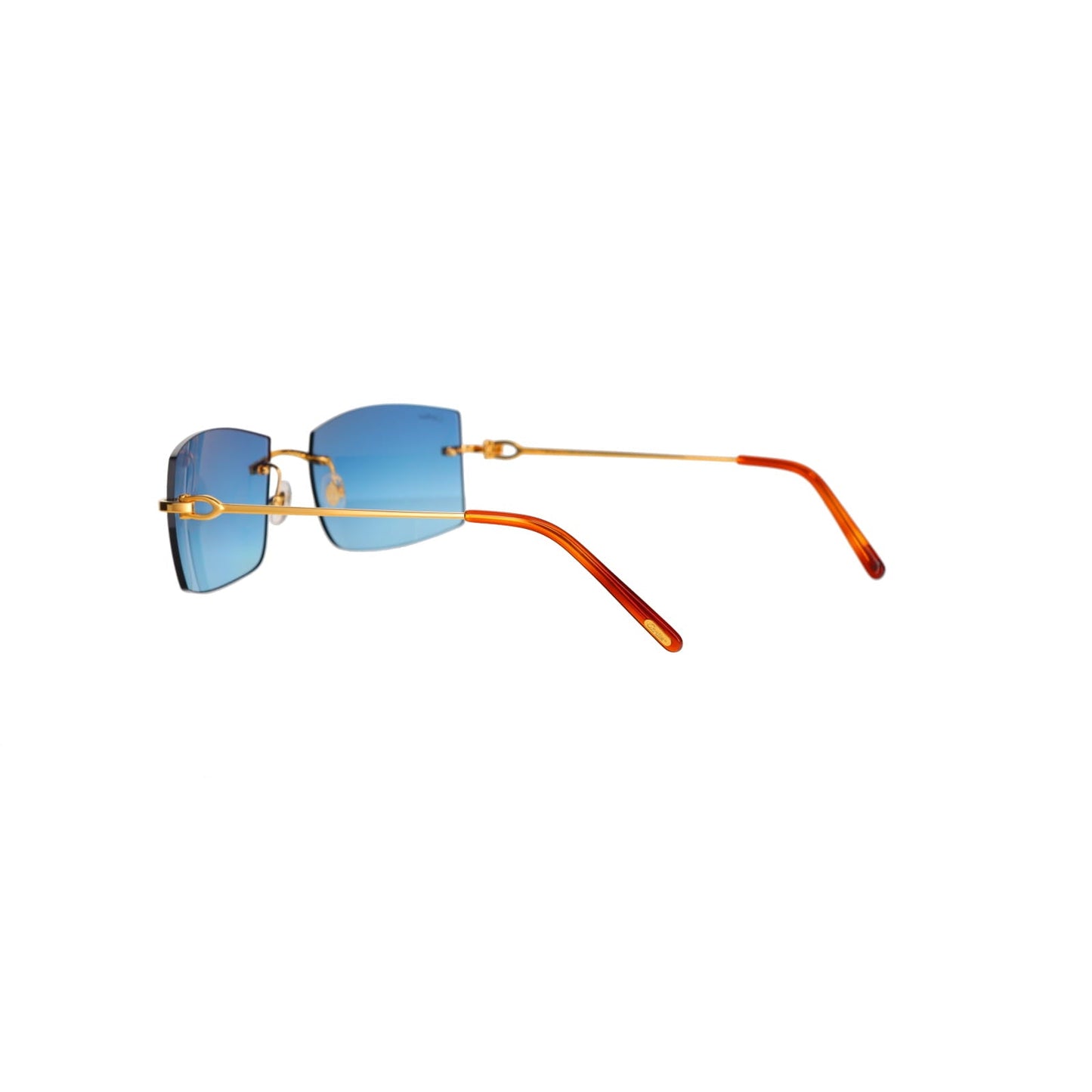 CT0005RS C Décor Sunglasses