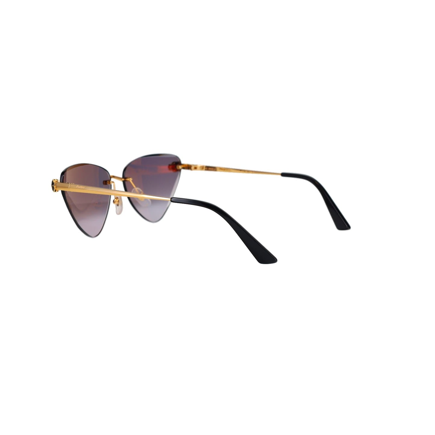 CT0399S Geometric Panthère Sunglasses