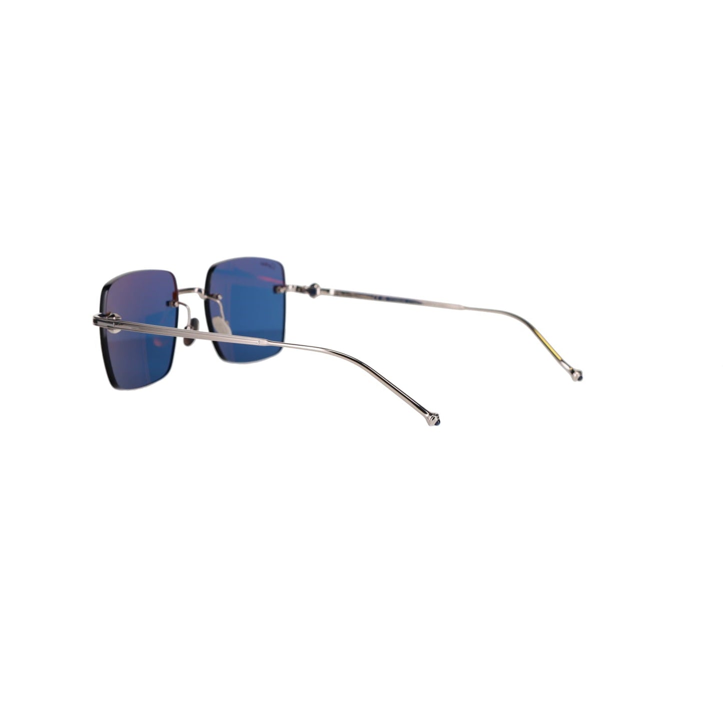 CT0403S Pasha Sunglasses