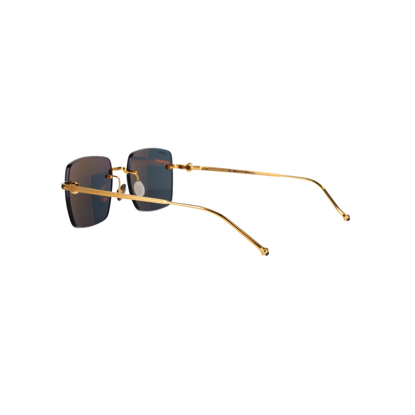 CT0403S Pasha Sunglasses