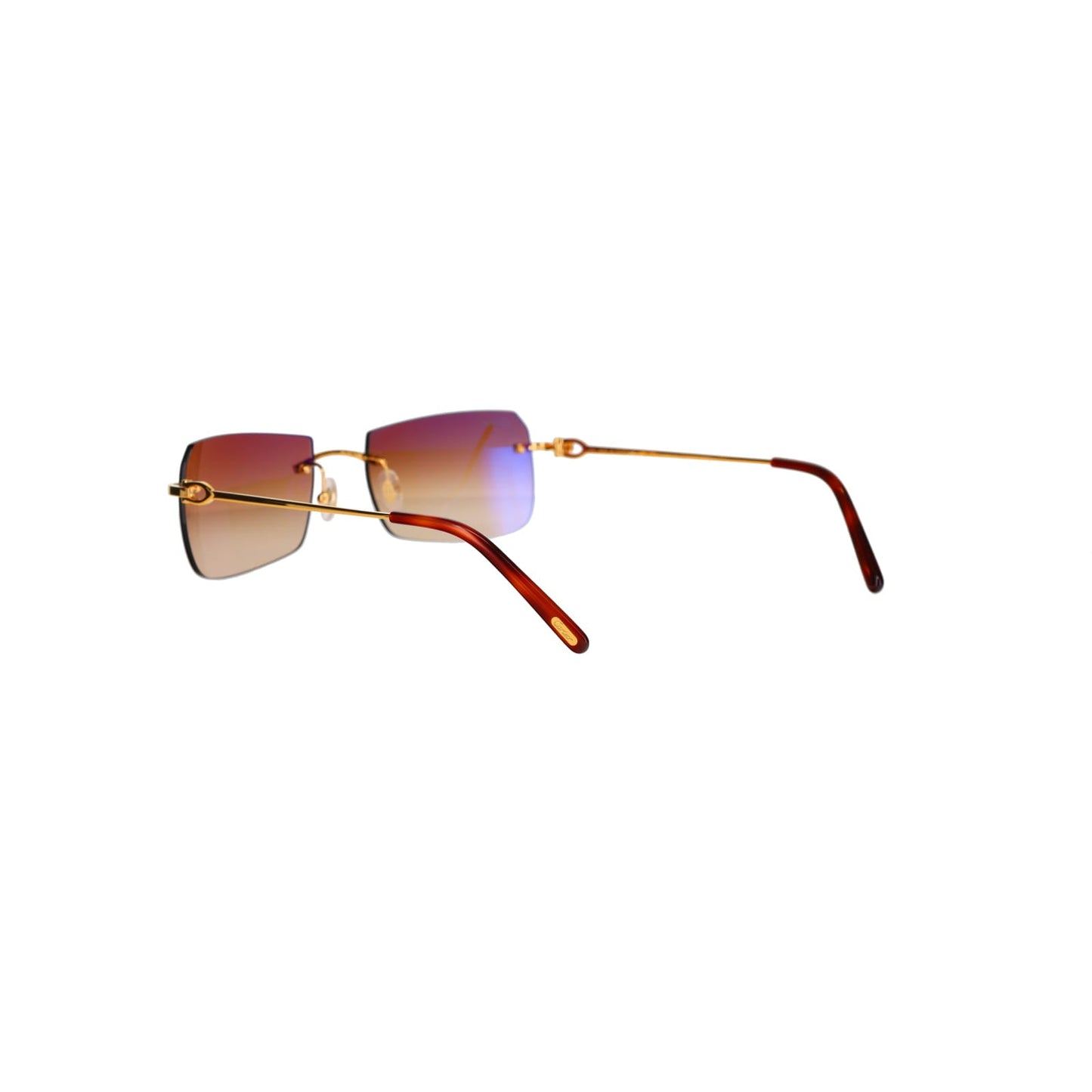 CT0006RS  C Décor Sunglasses