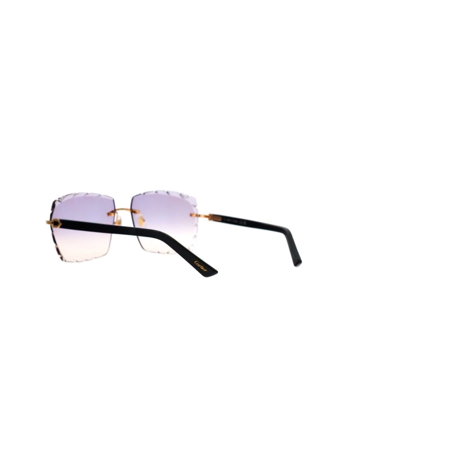 Cartier Custom C Décor Acetate Sunglasses