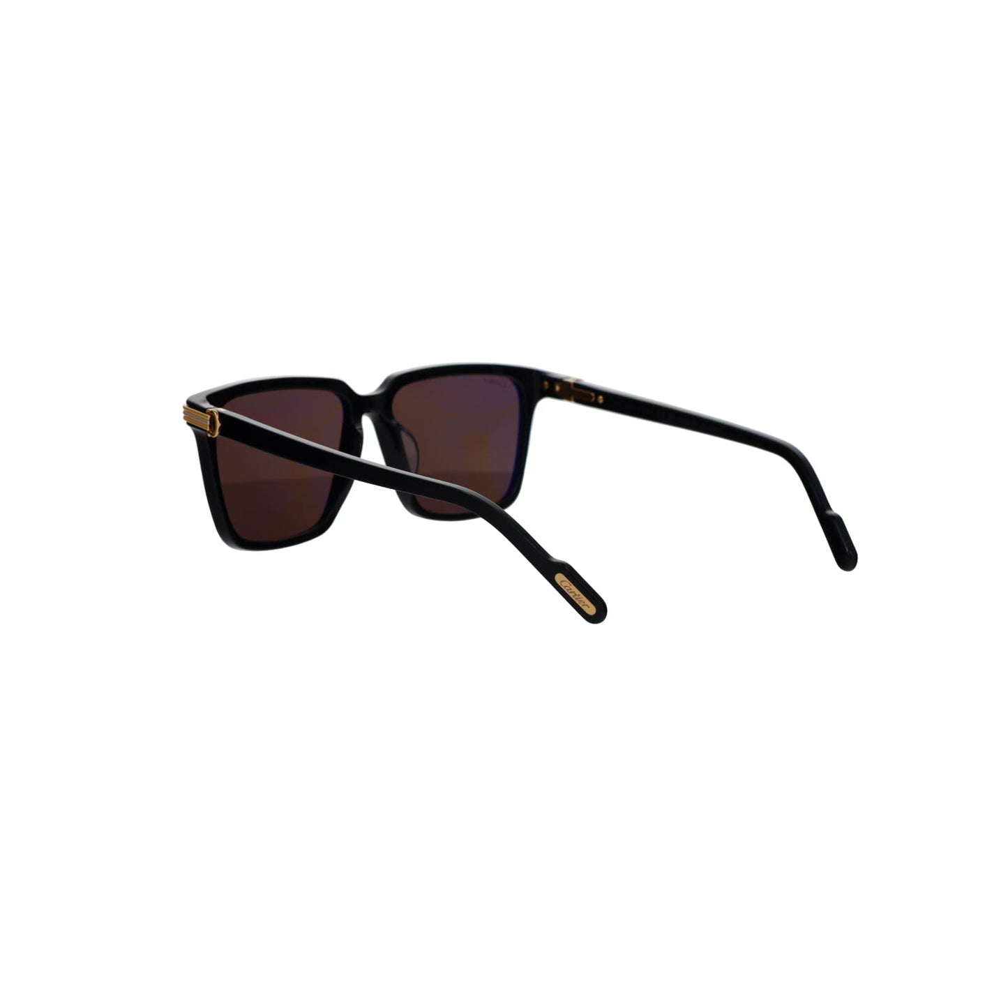 CT0366S Contemporary Acetate Sunglasses