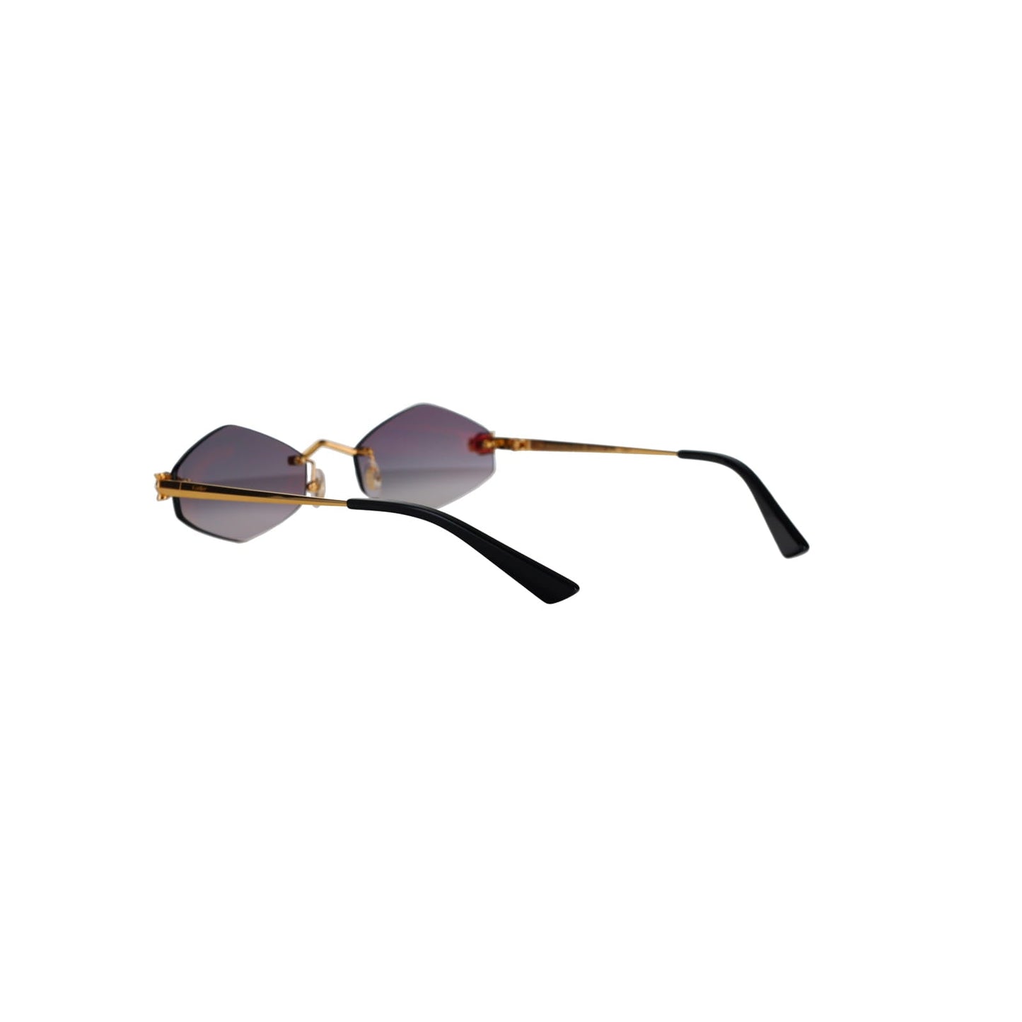 CT0433S Hexagonal Panthère Sunglasses