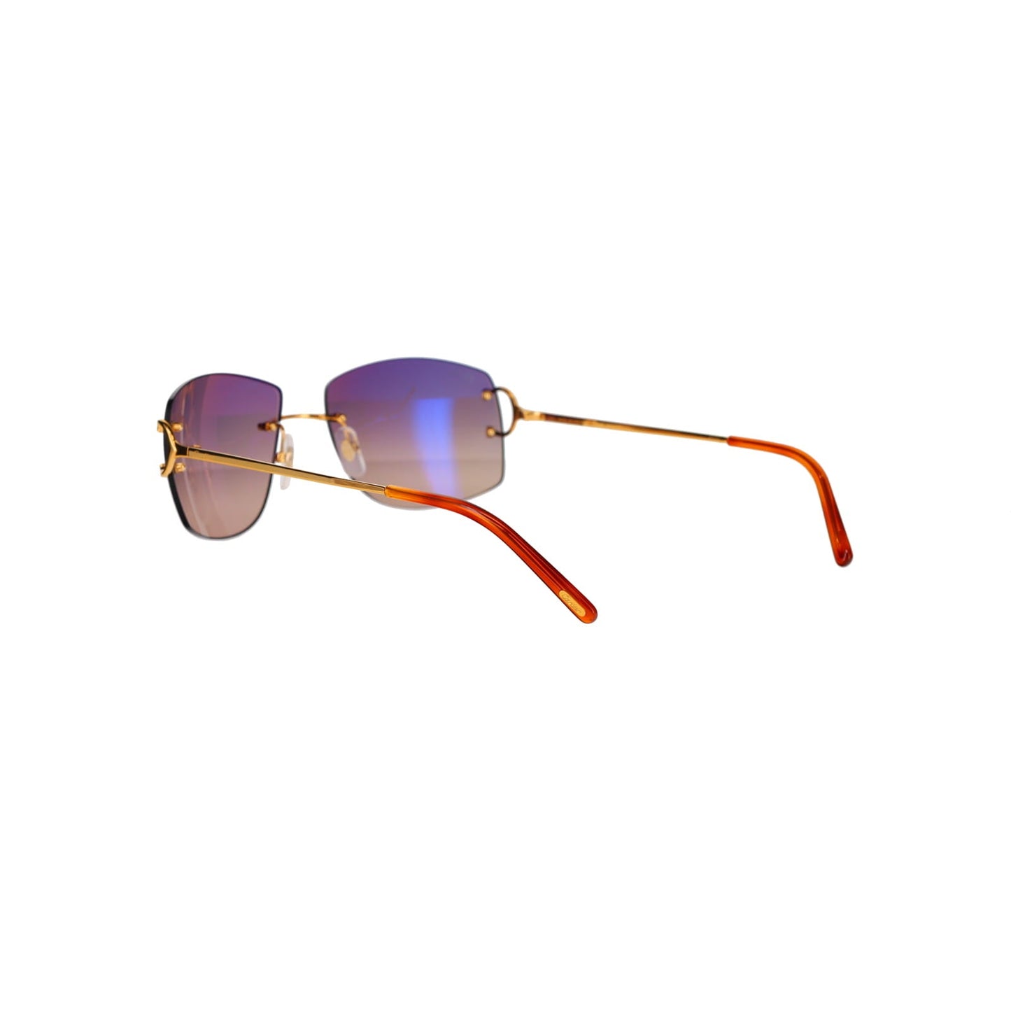 CT0008RS Signature C Sunglasses