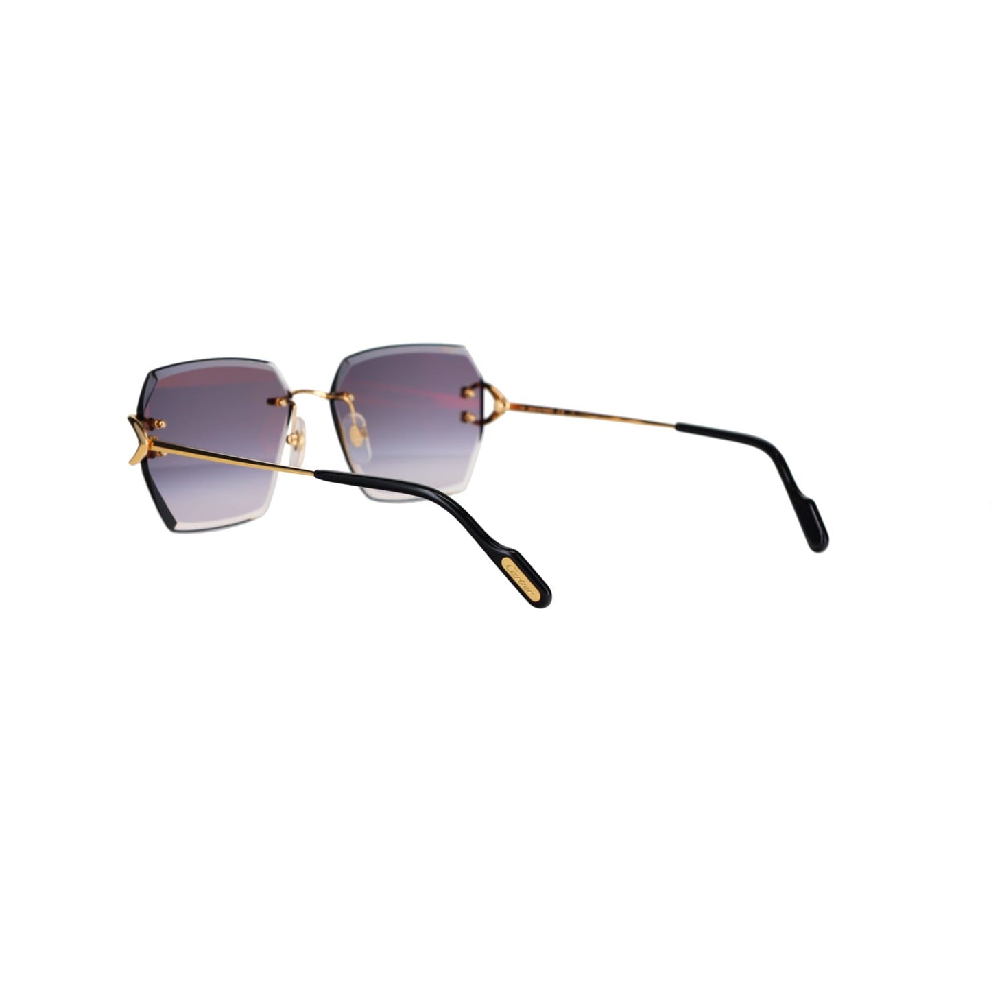 CT0466S  Signature C Sunglasses