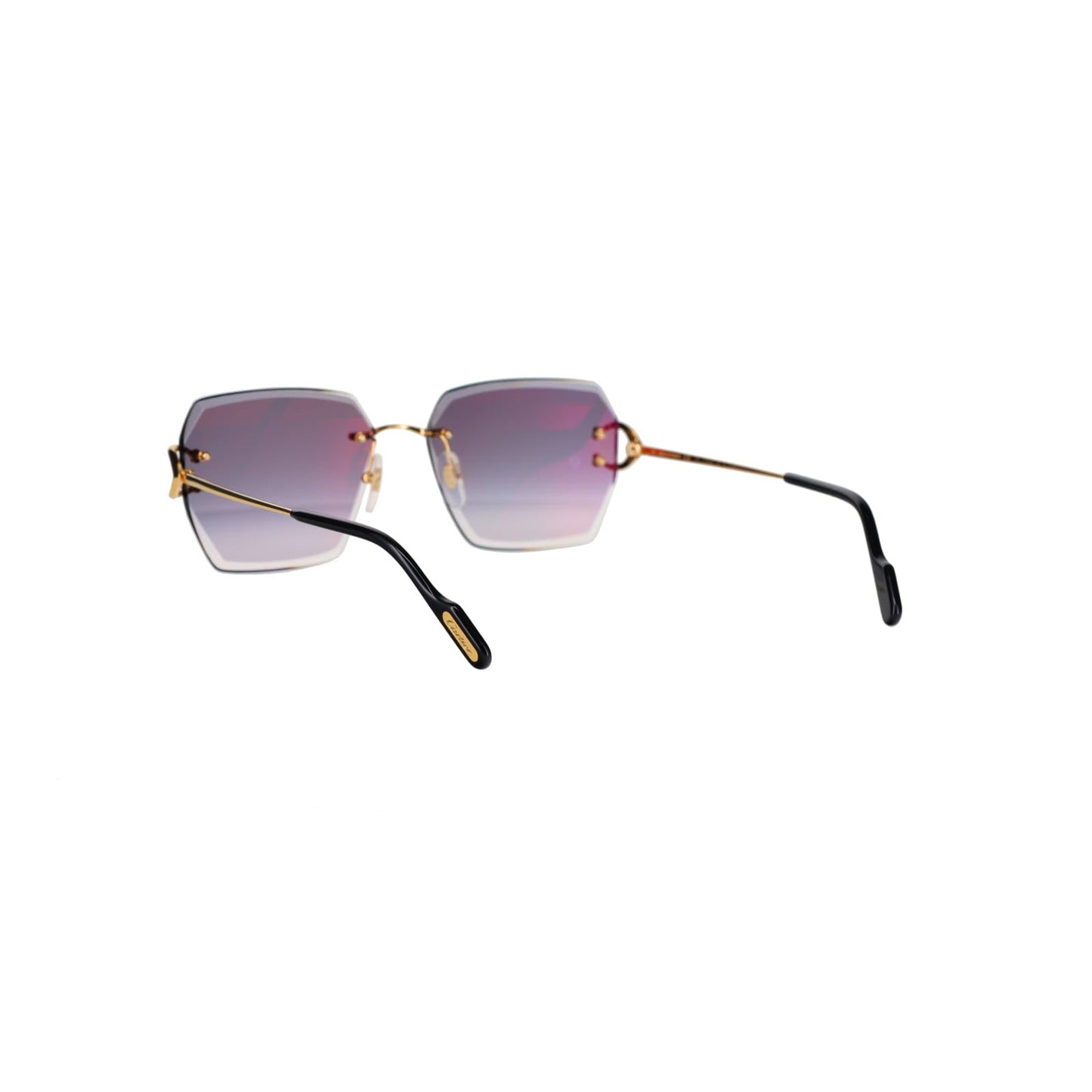 CT0466S  Signature C Sunglasses