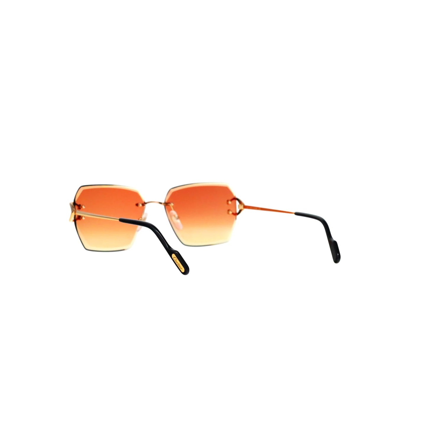CT0466S  Signature C Sunglasses