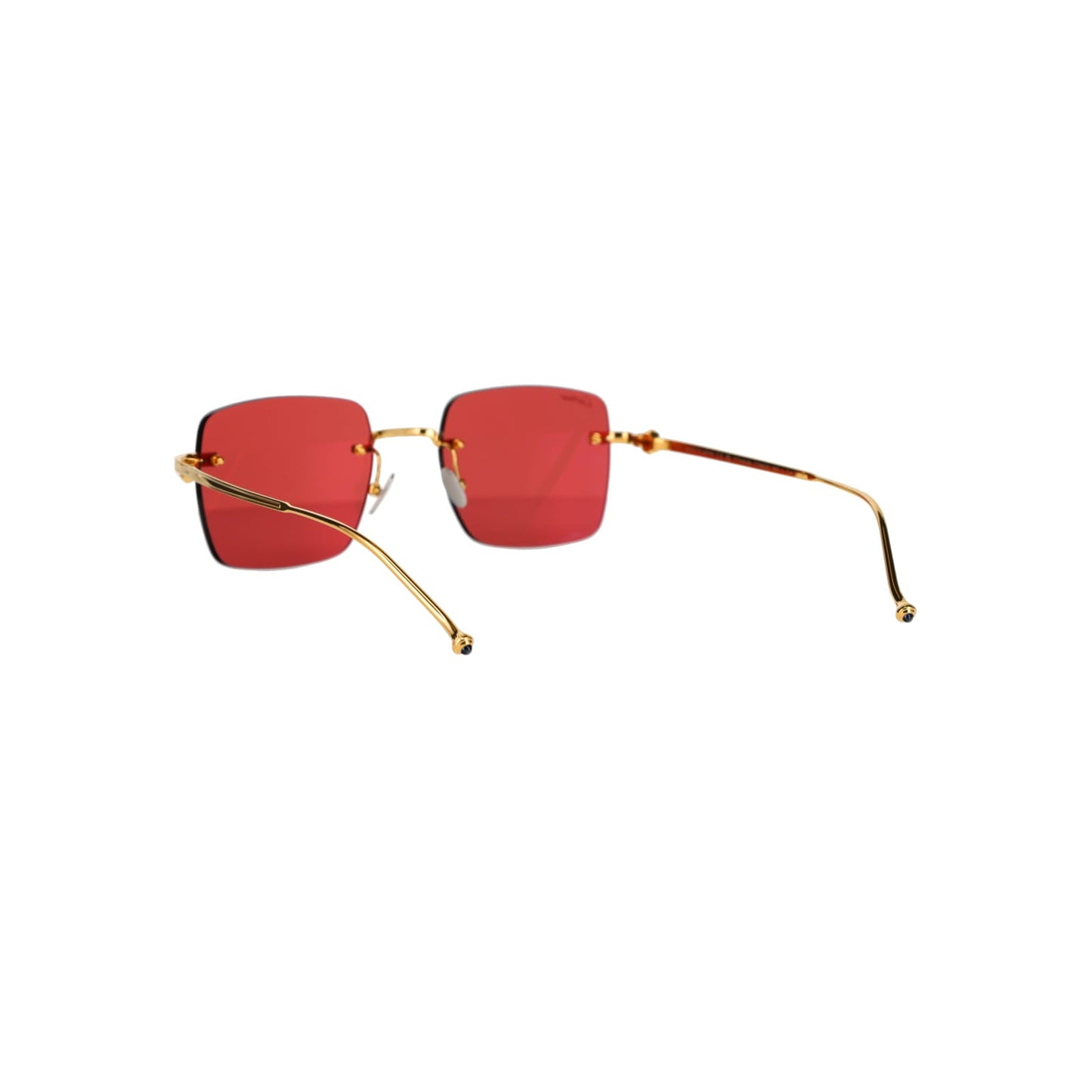 CT0403S Pasha Sunglasses
