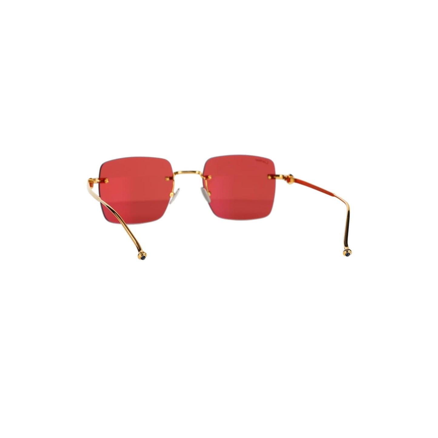 CT0403S Pasha Sunglasses