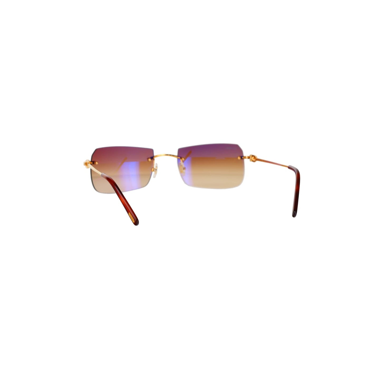 CT0006RS  C Décor Sunglasses