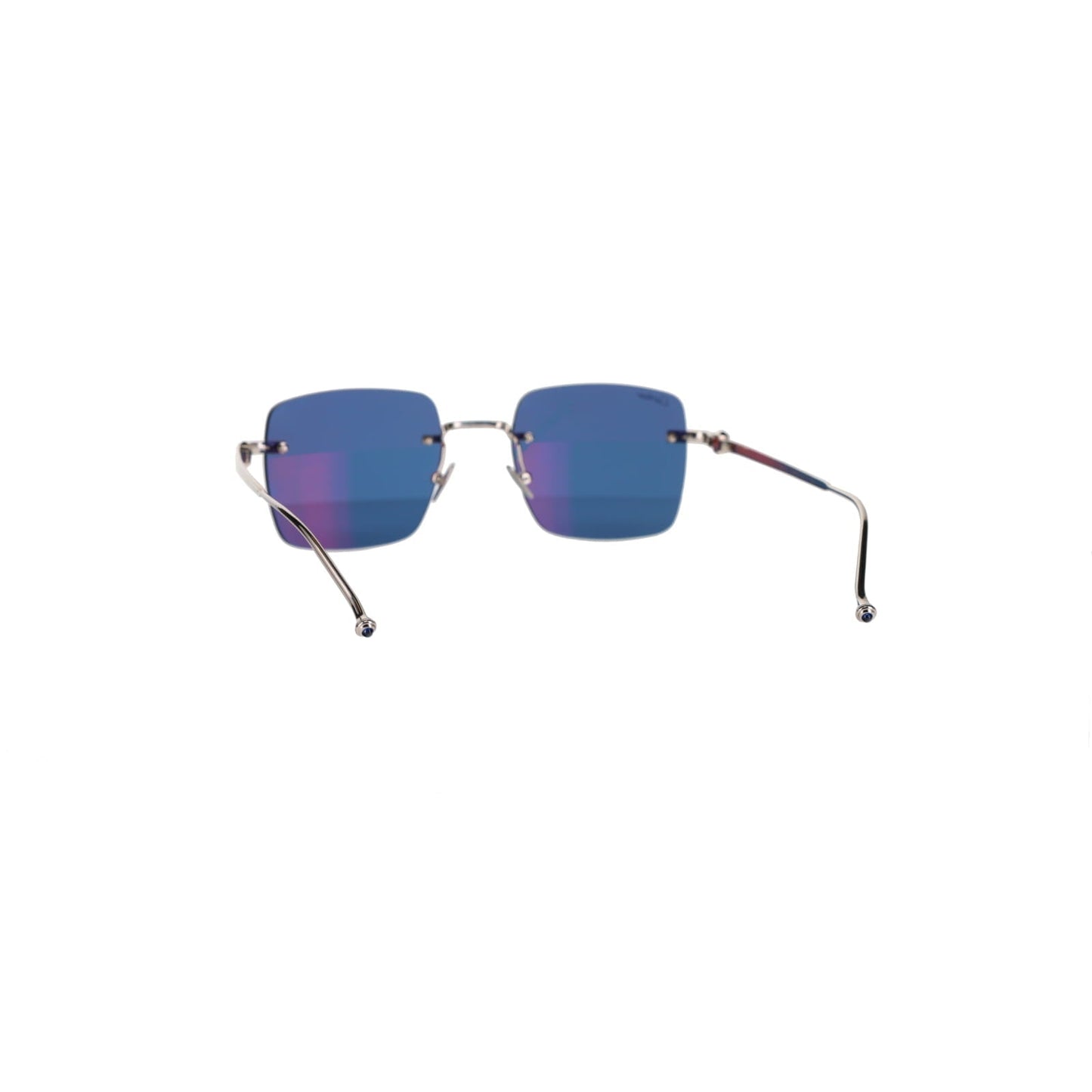 CT0403S Pasha Sunglasses