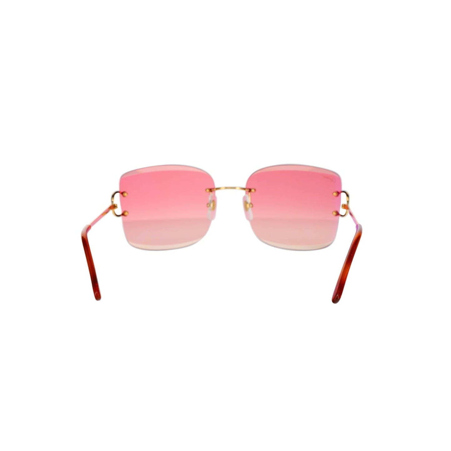 CT0007RS Signature C Sunglasses