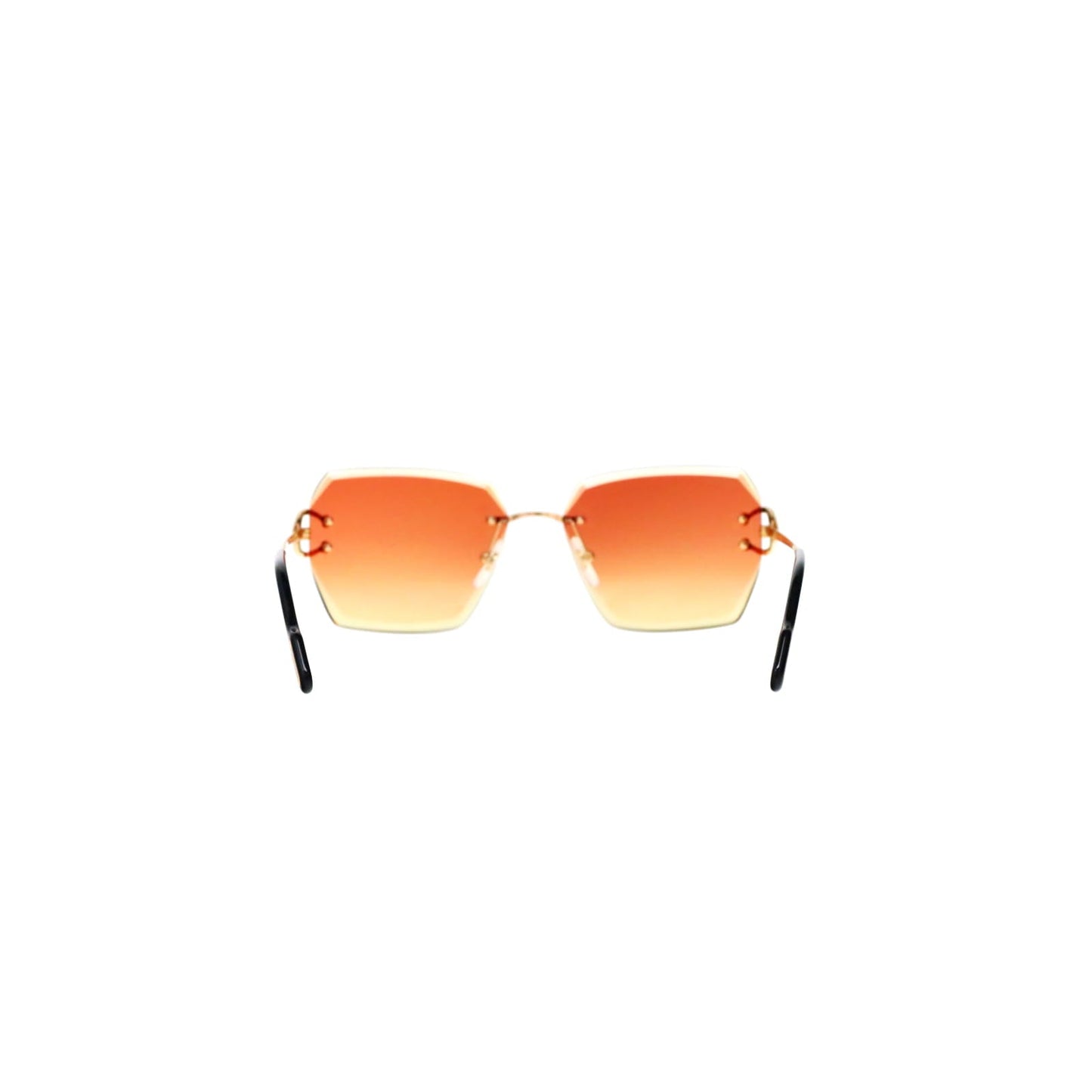 CT0466S  Signature C Sunglasses