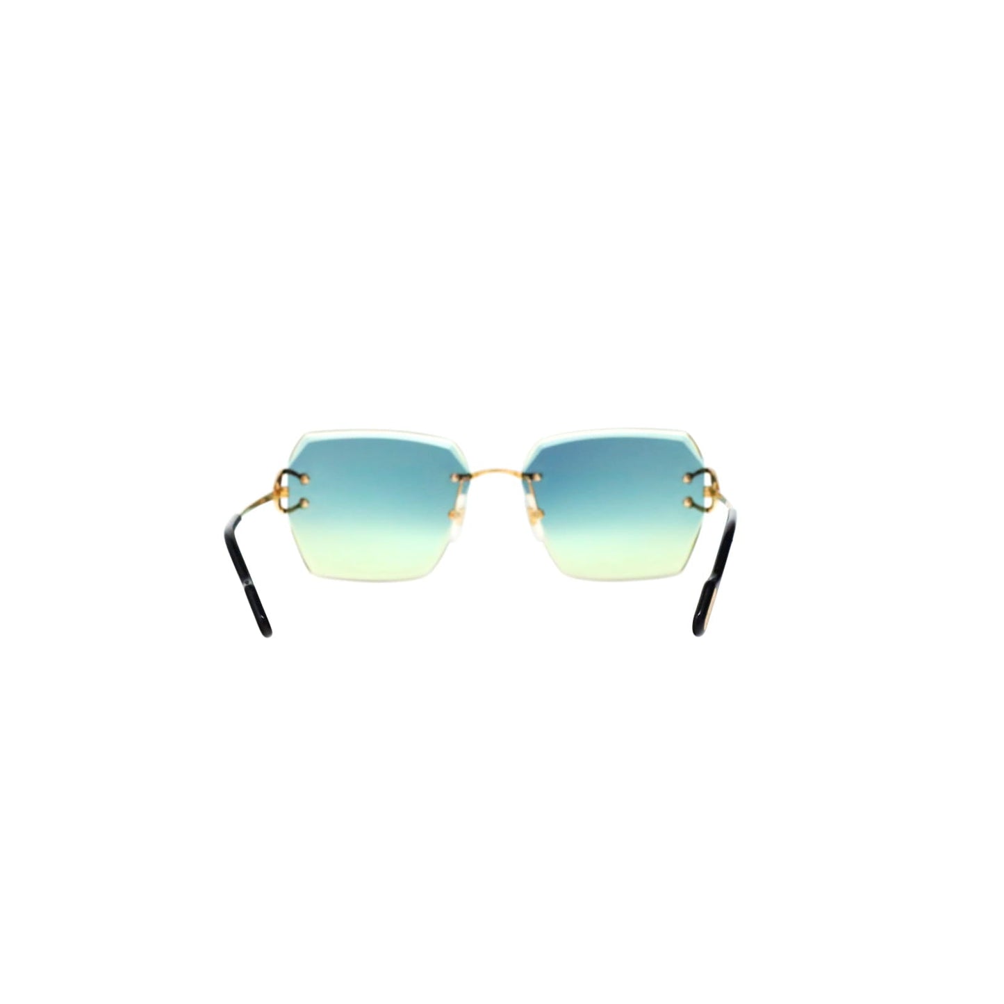 CT0466S  Signature C Sunglasses