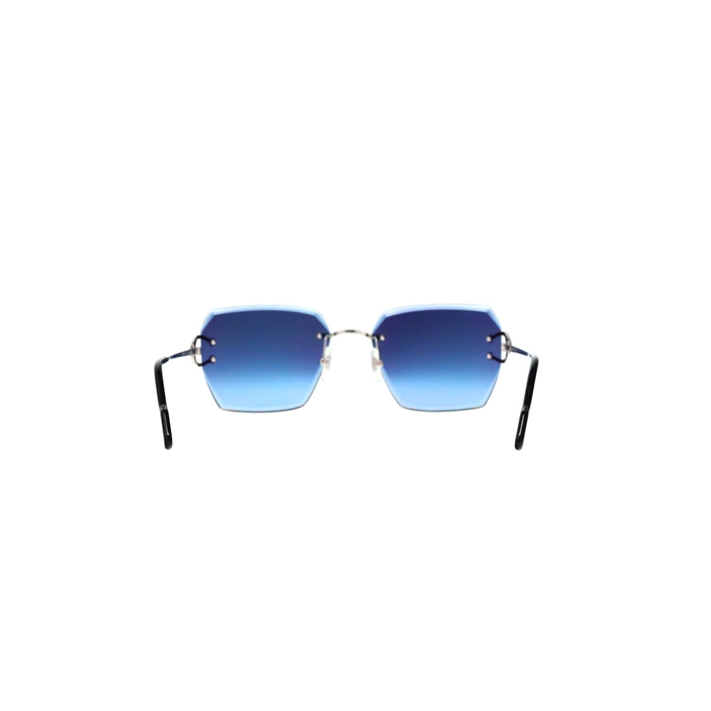 CT0466S  Signature C Sunglasses