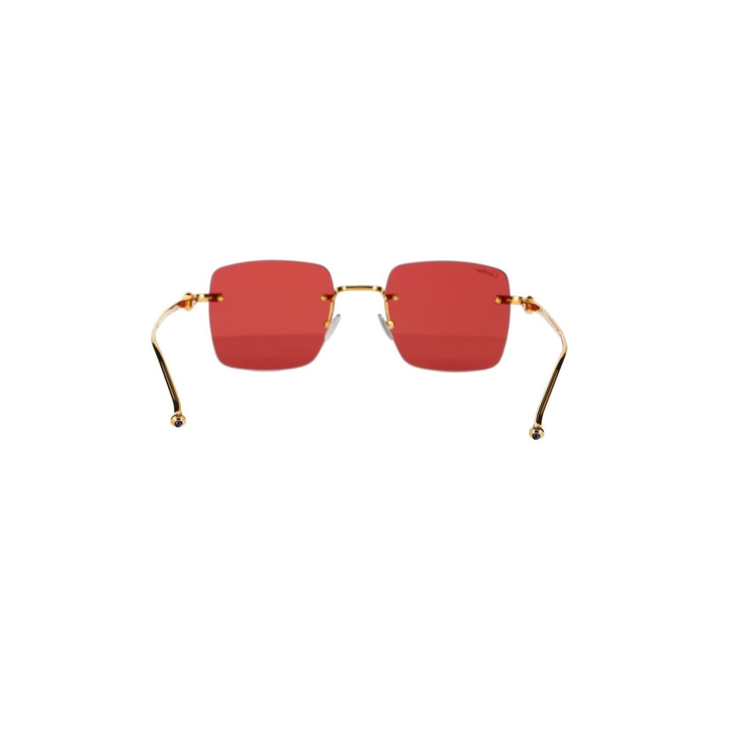 CT0403S Pasha Sunglasses