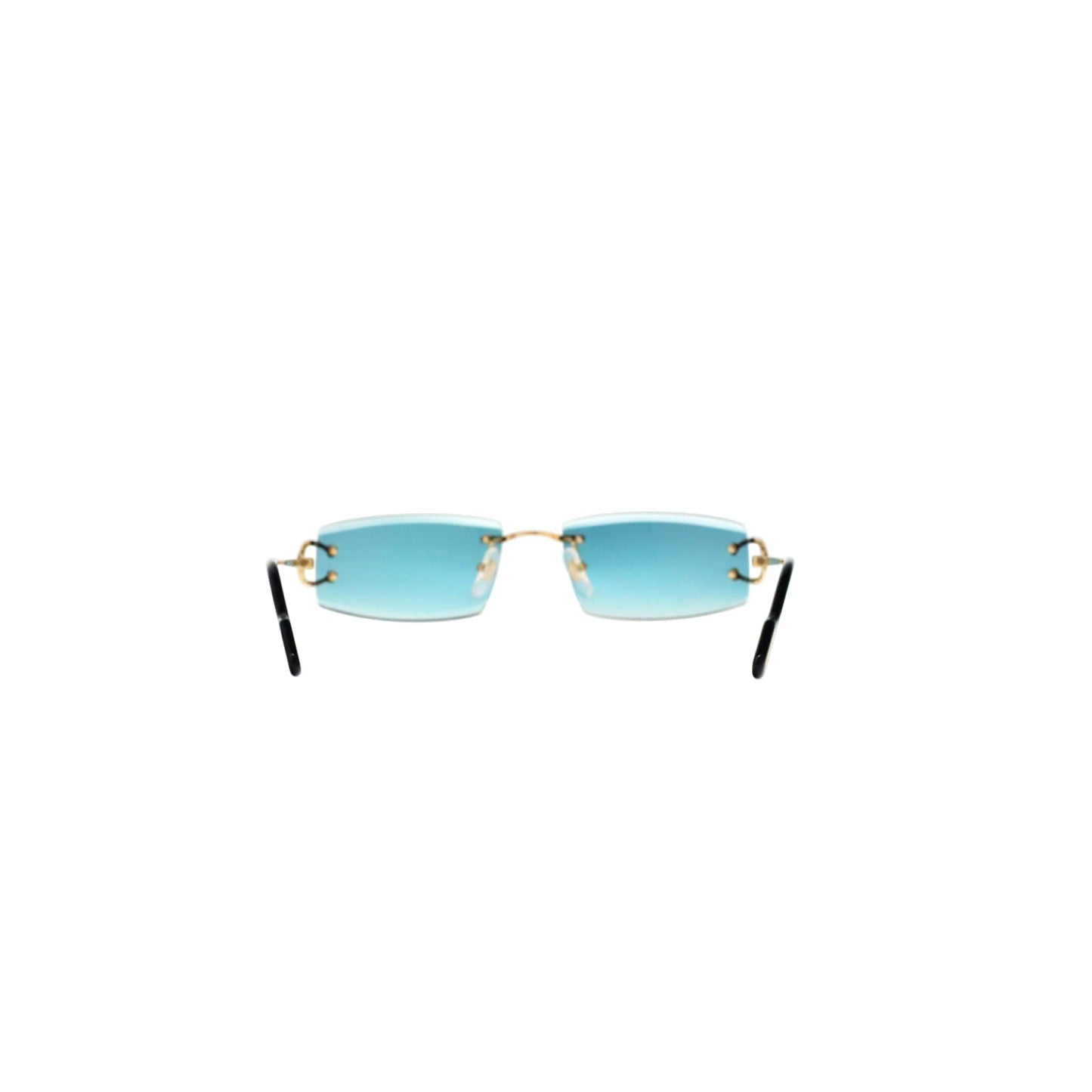 CT0465S Signature C  Rectangular Sunglasses