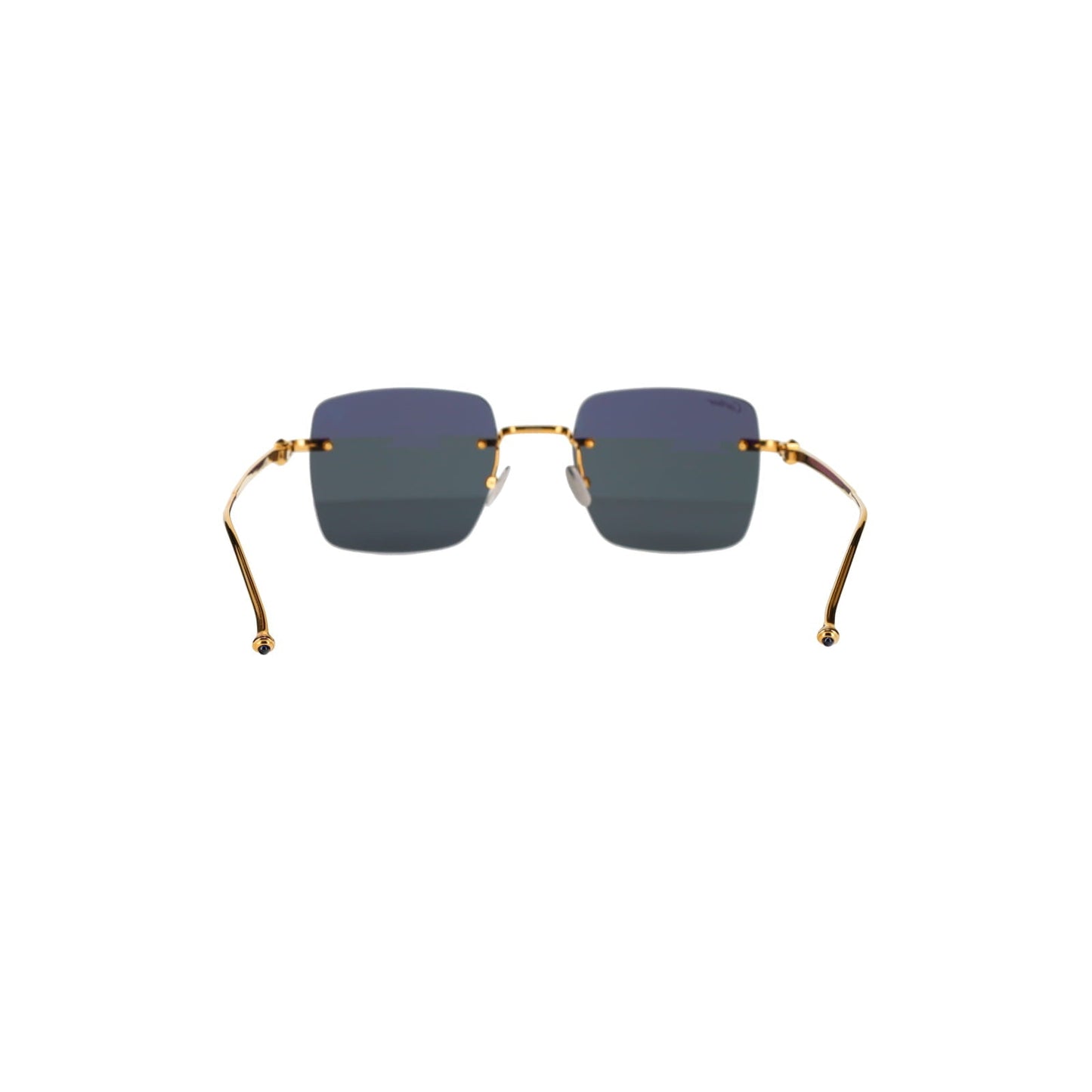 CT0403S Pasha Sunglasses