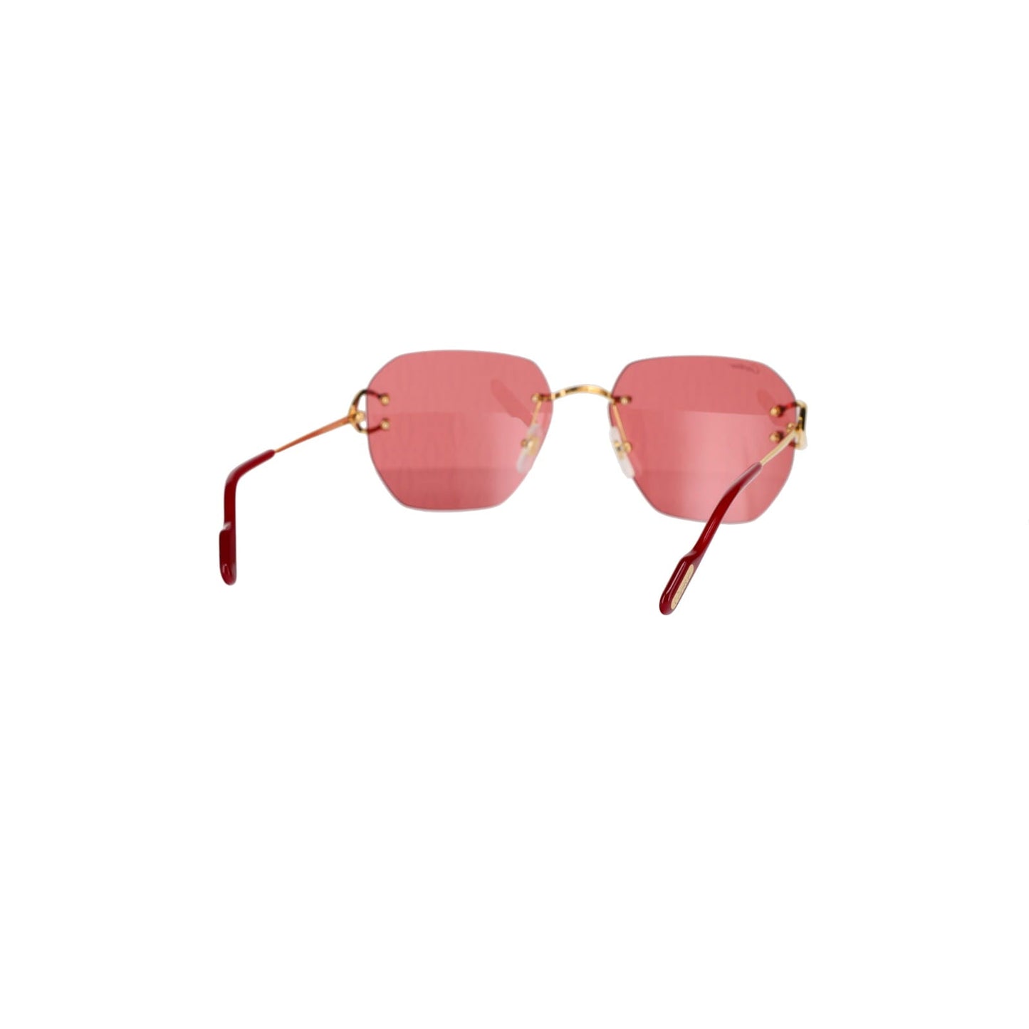 CT0394S Signature C Sunglasses