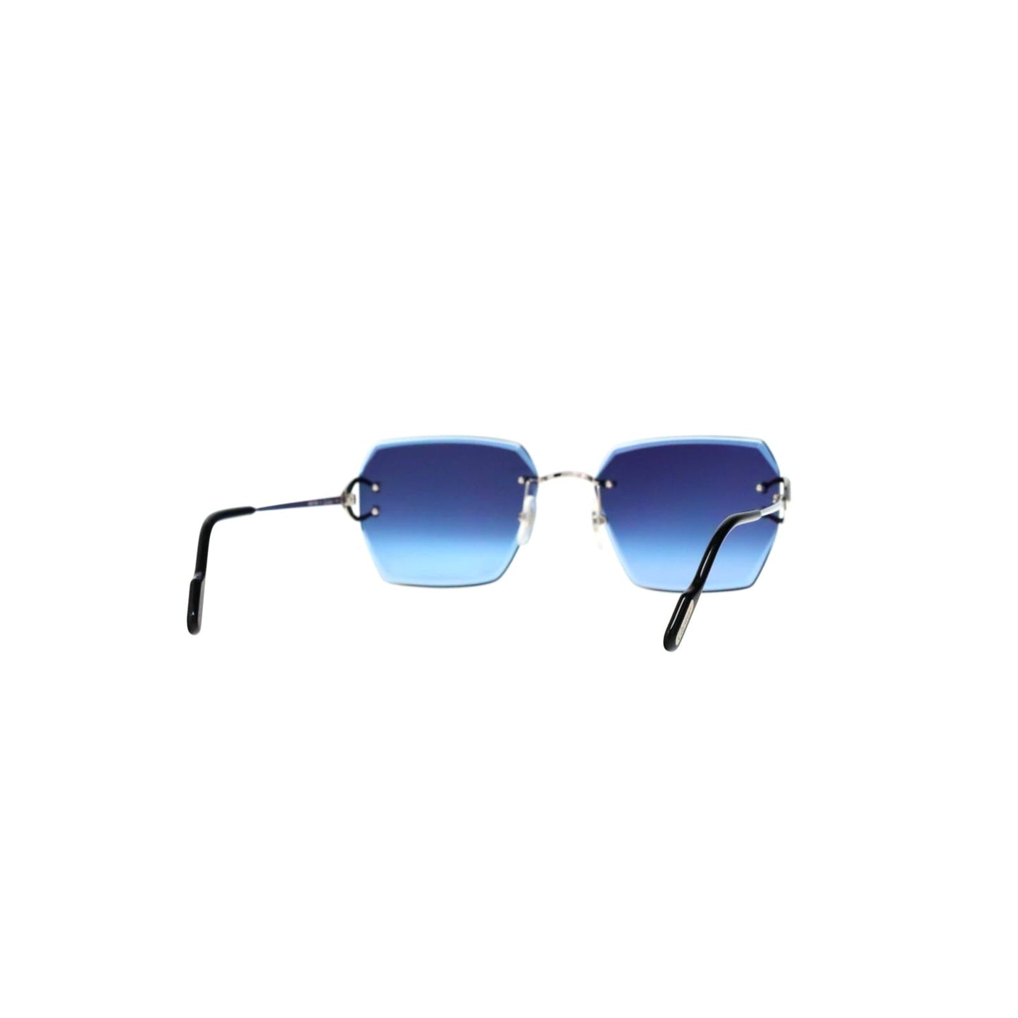 CT0466S  Signature C Sunglasses