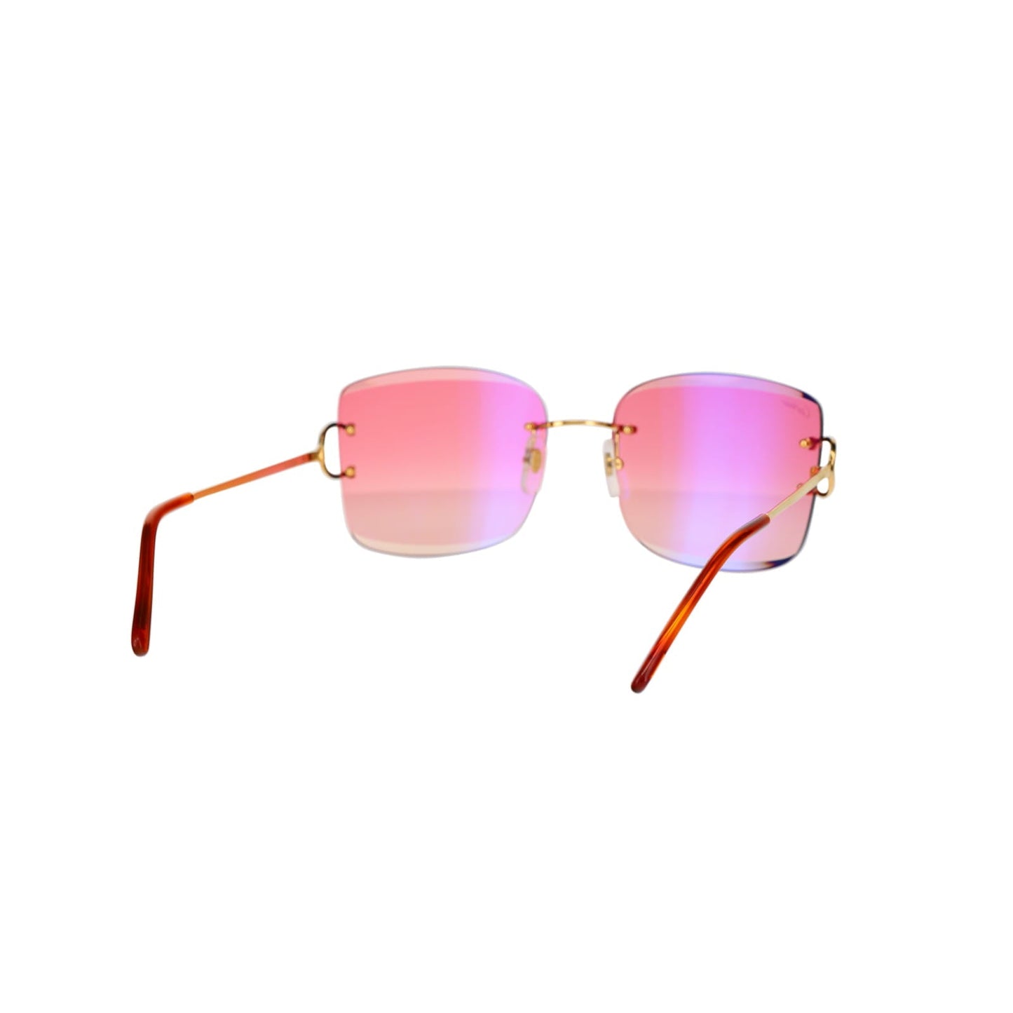CT0007RS Signature C Sunglasses
