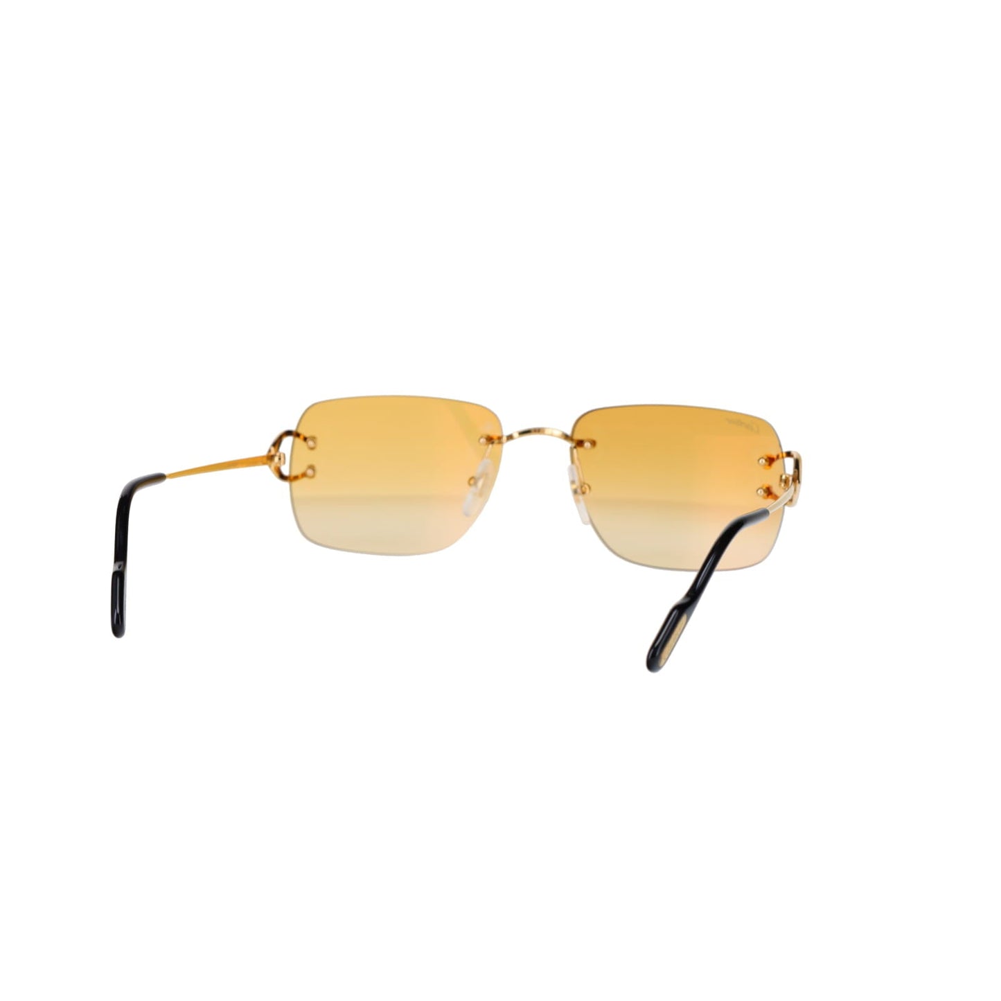 CT0330S Signature C  Sunglasses