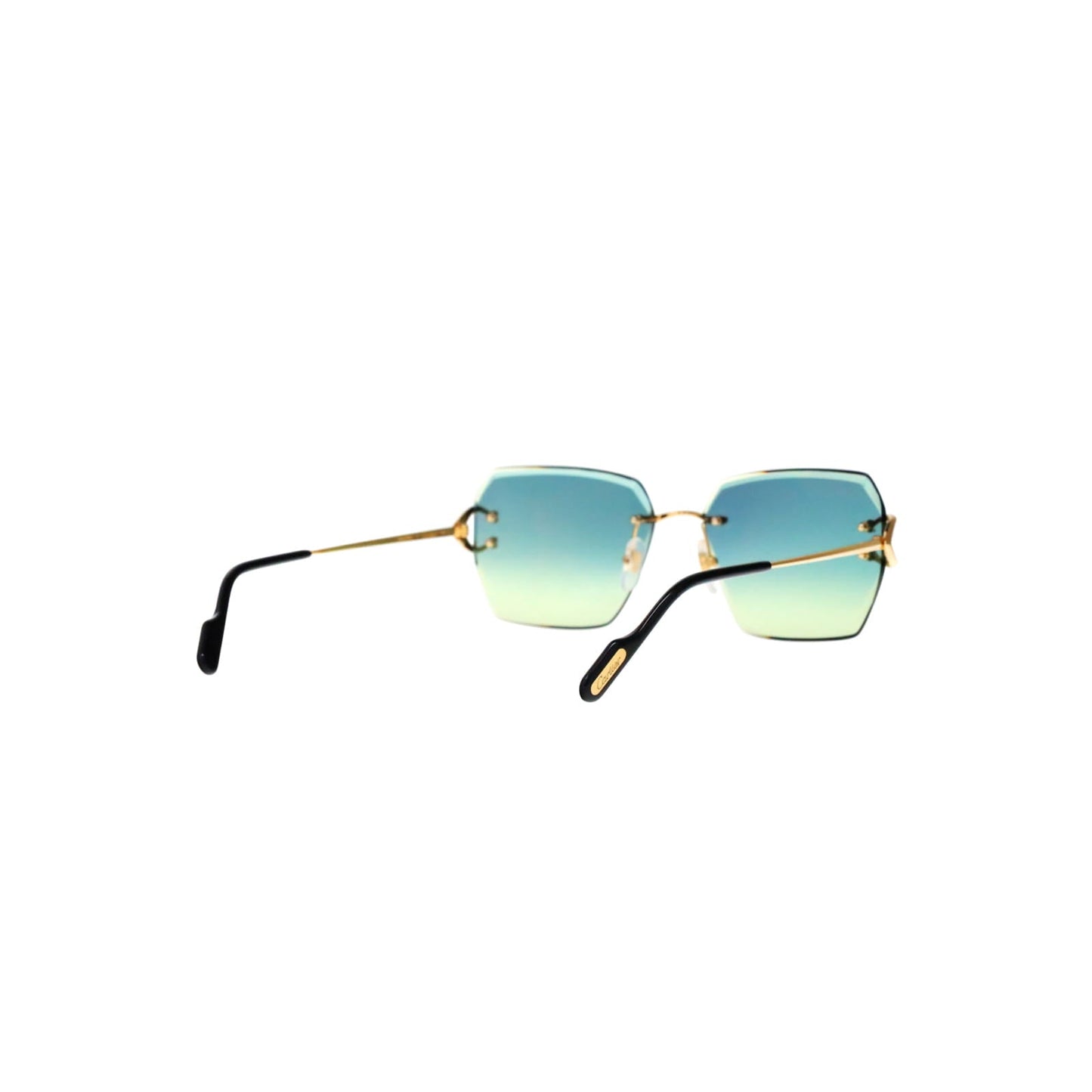 CT0466S  Signature C Sunglasses