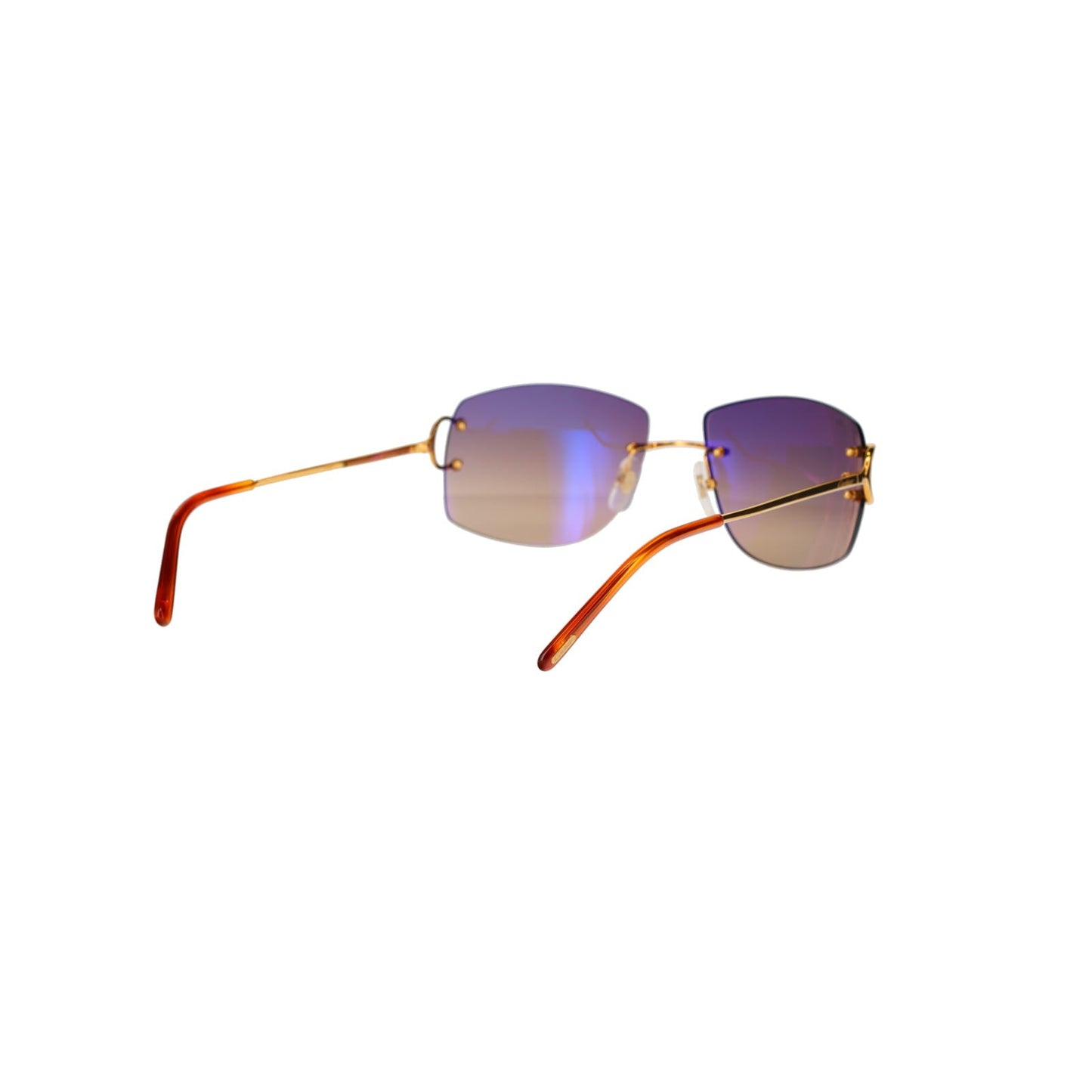 CT0008RS Signature C Sunglasses