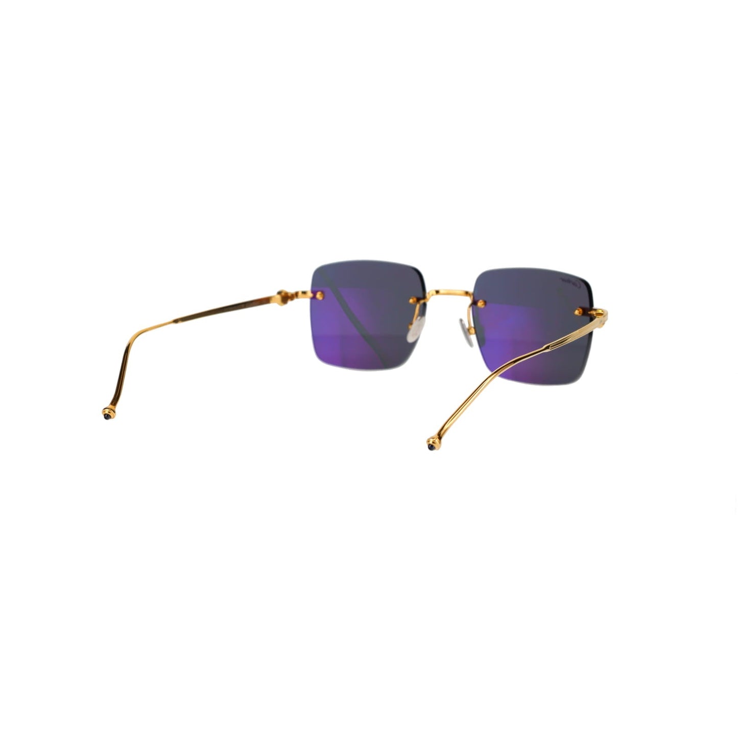CT0403S Pasha Sunglasses