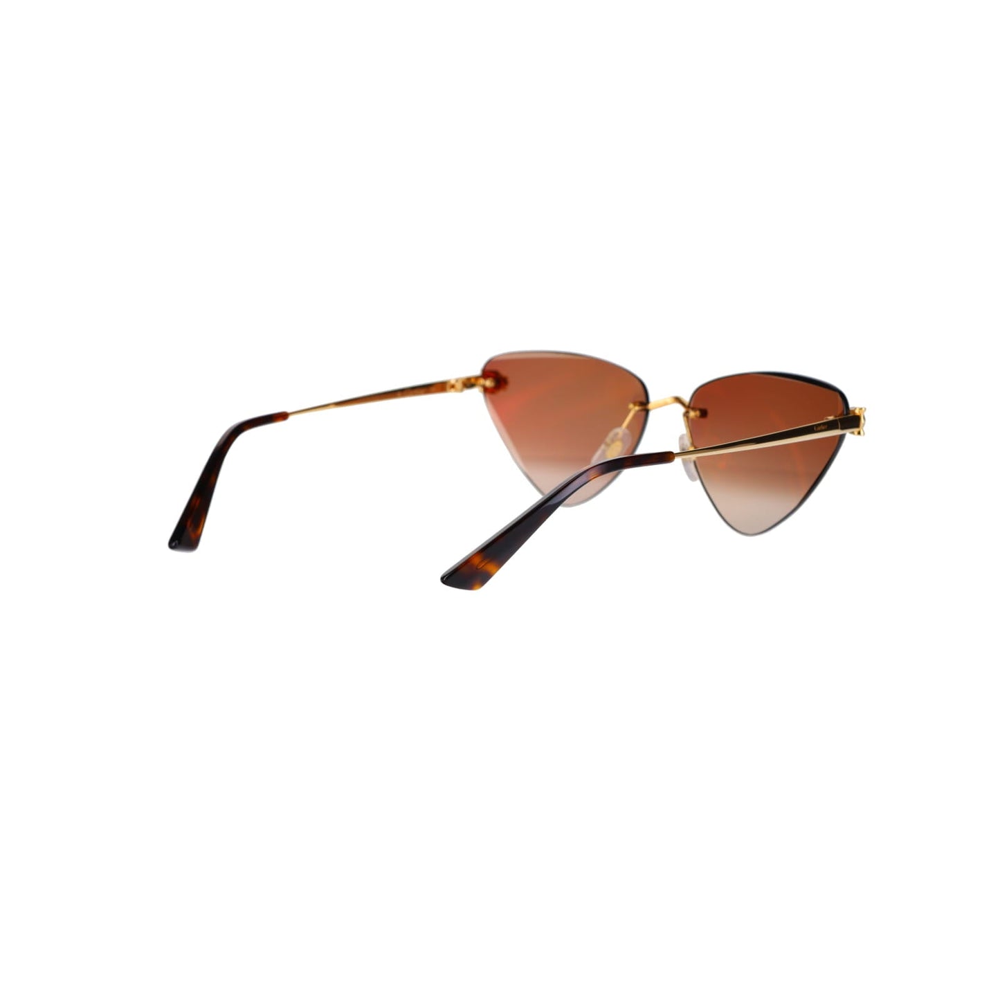 CT0399S Geometric Panthère Sunglasses