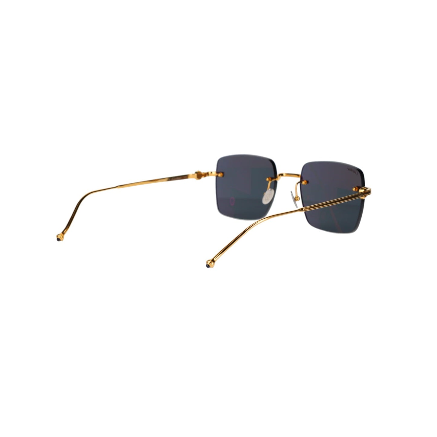 CT0403S Pasha Sunglasses