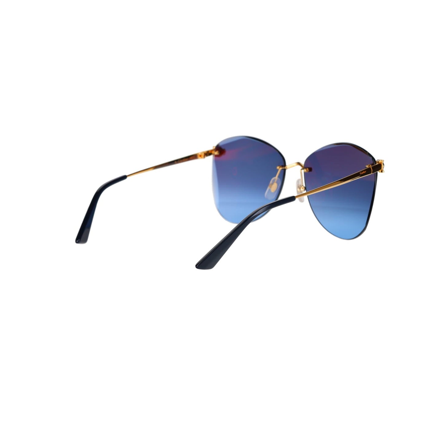 CT0398S Cat-eye Panthère Sunglasses