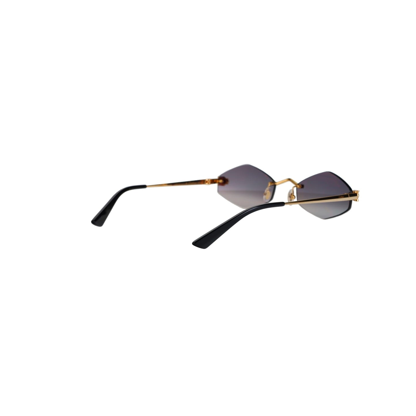 CT0433S Hexagonal Panthère Sunglasses