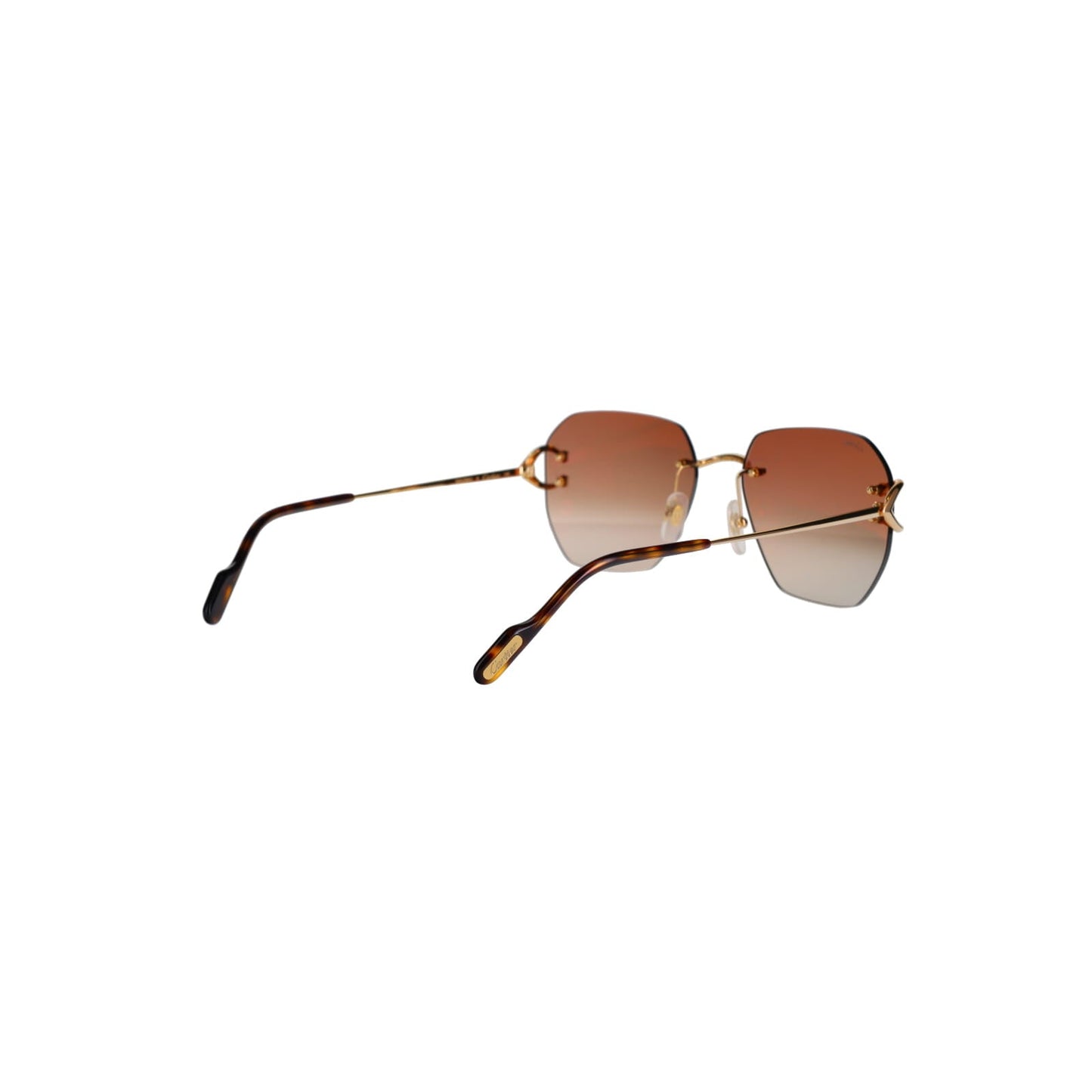 CT0394S Signature C Sunglasses