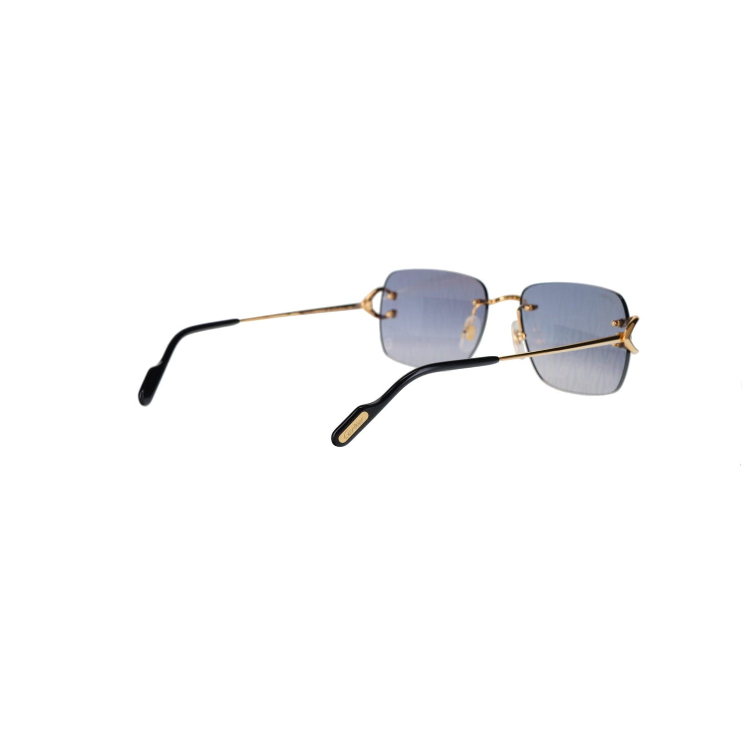 CT0330S Signature C  Sunglasses