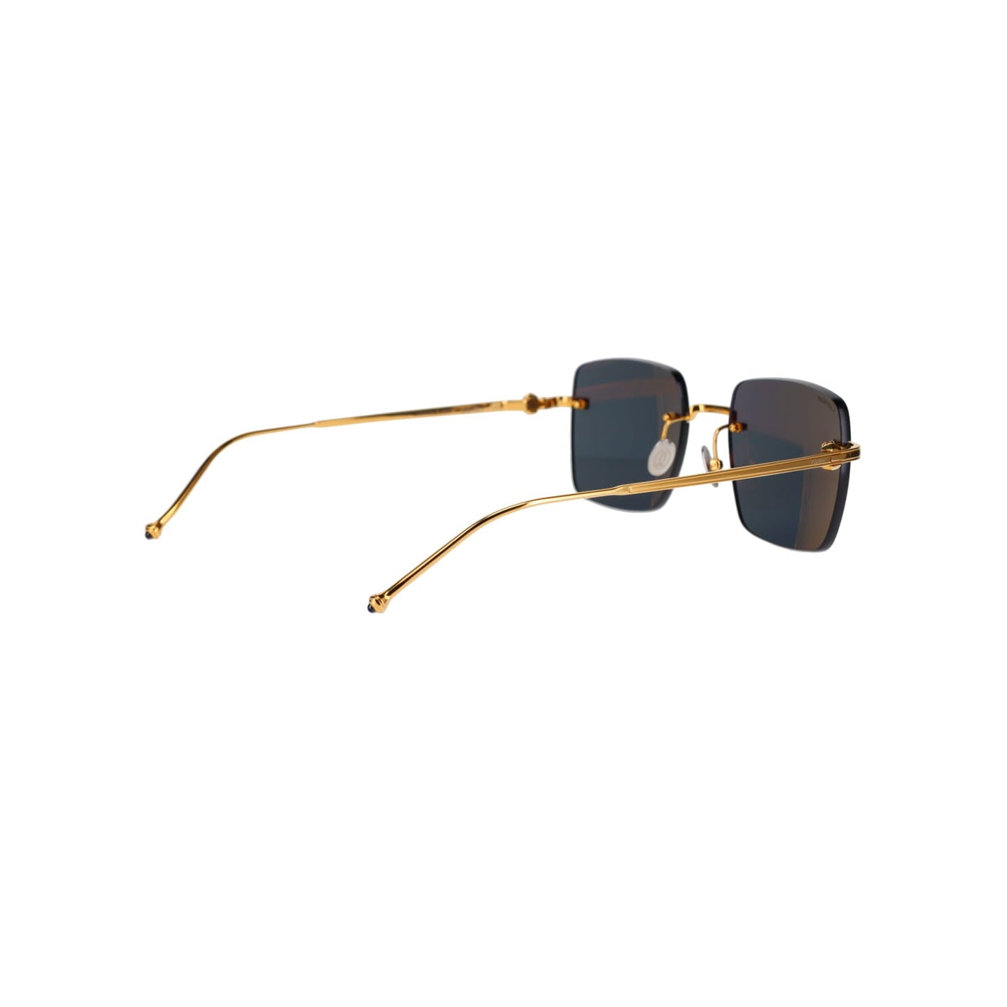 CT0403S Pasha Sunglasses