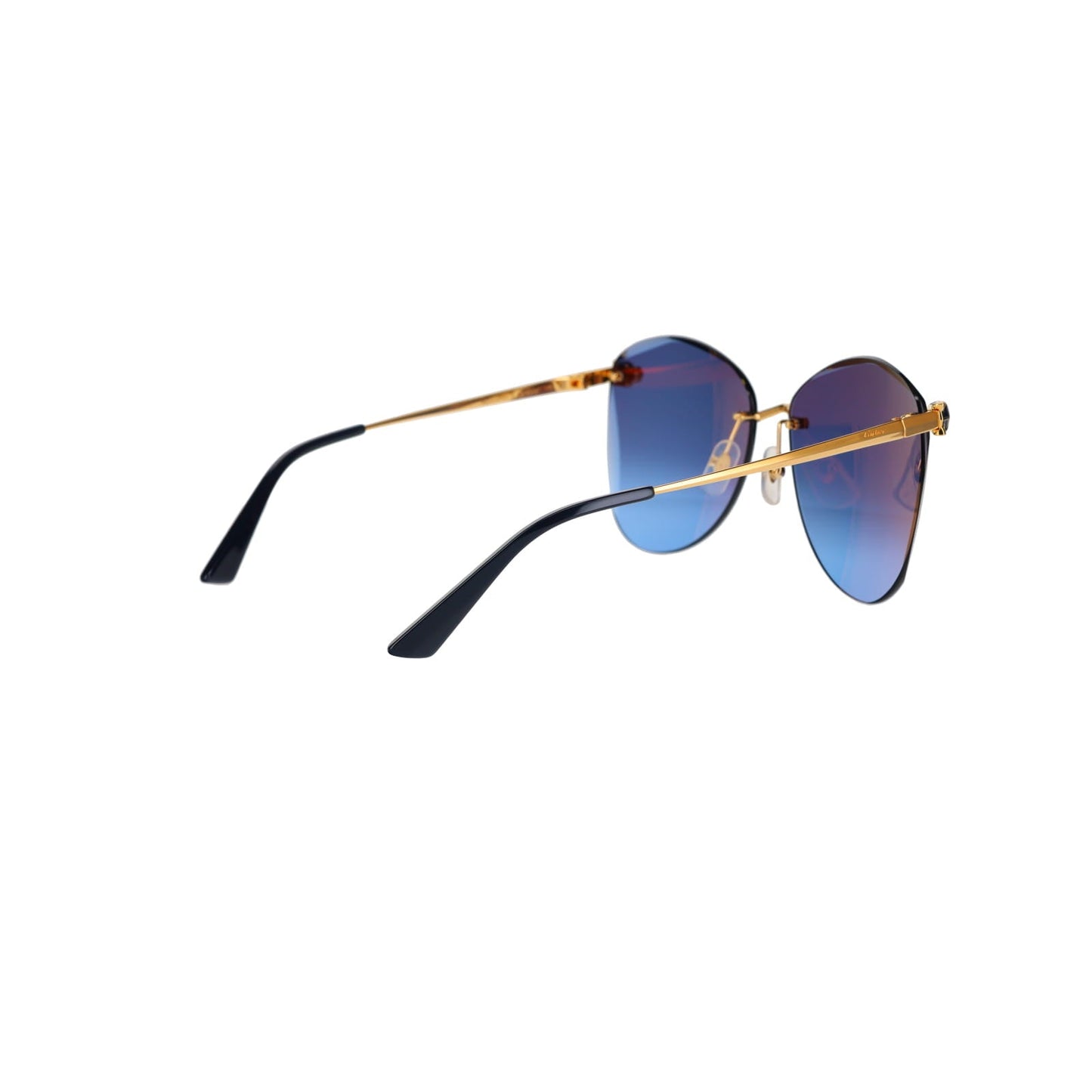 CT0398S Cat-eye Panthère Sunglasses