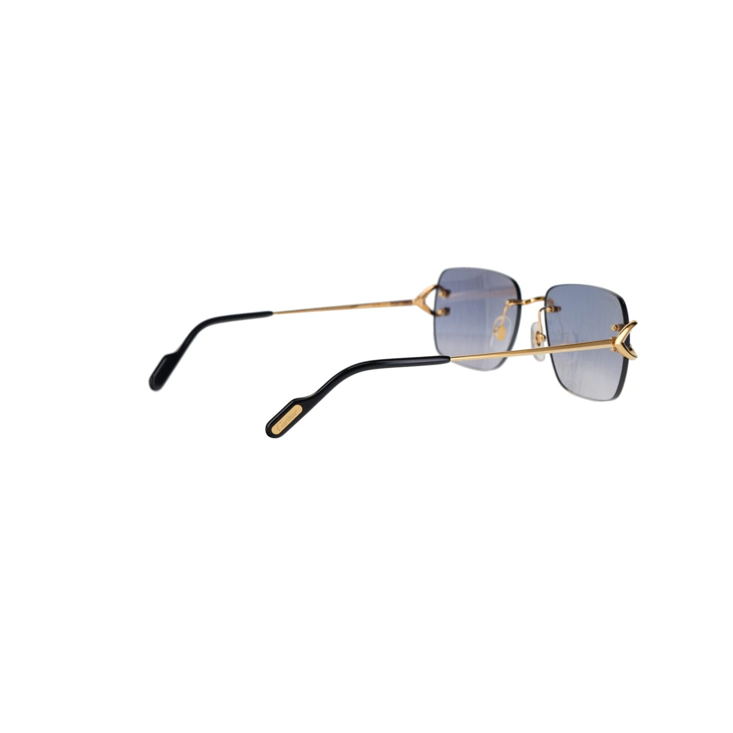 CT0330S Signature C  Sunglasses
