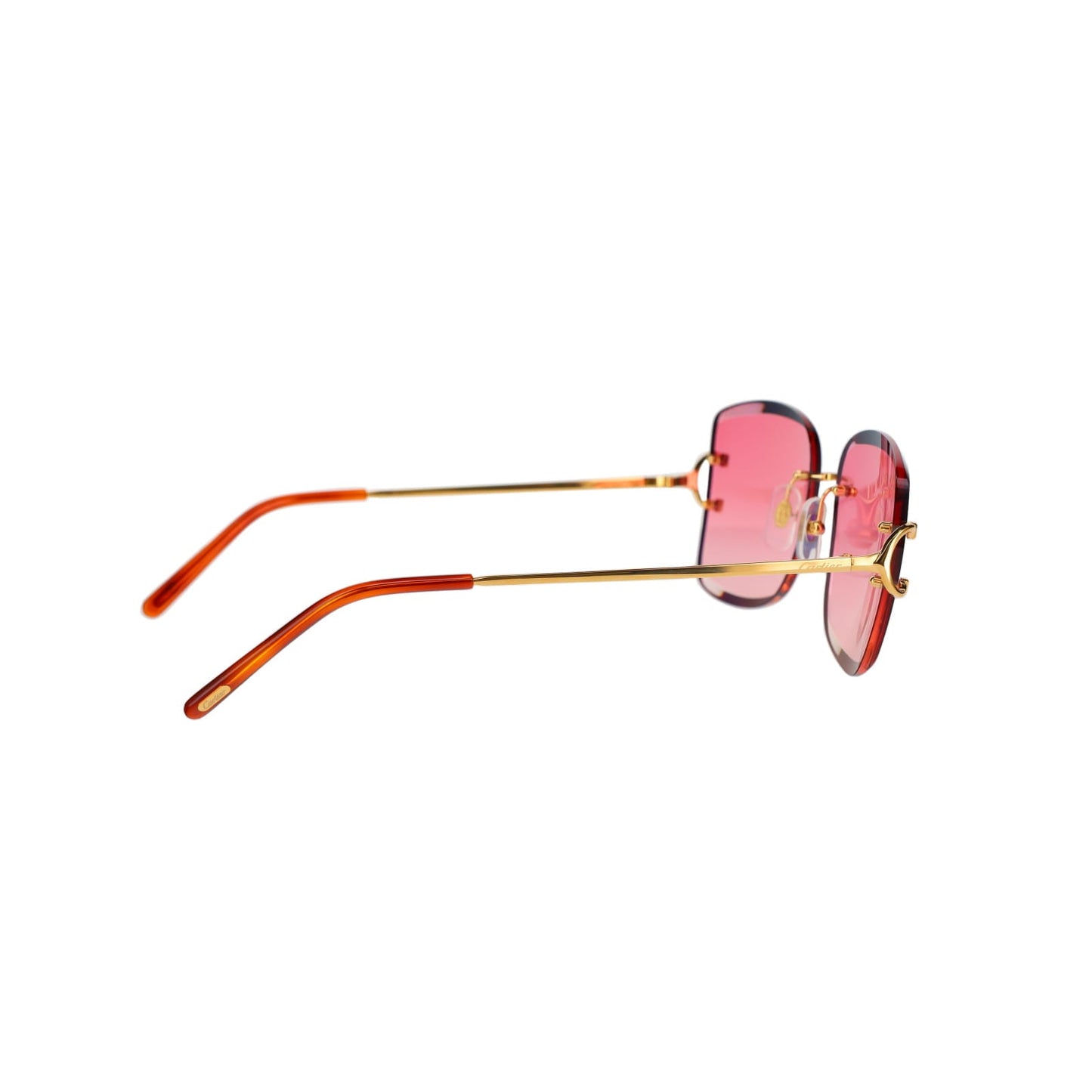 CT0007RS Signature C Sunglasses