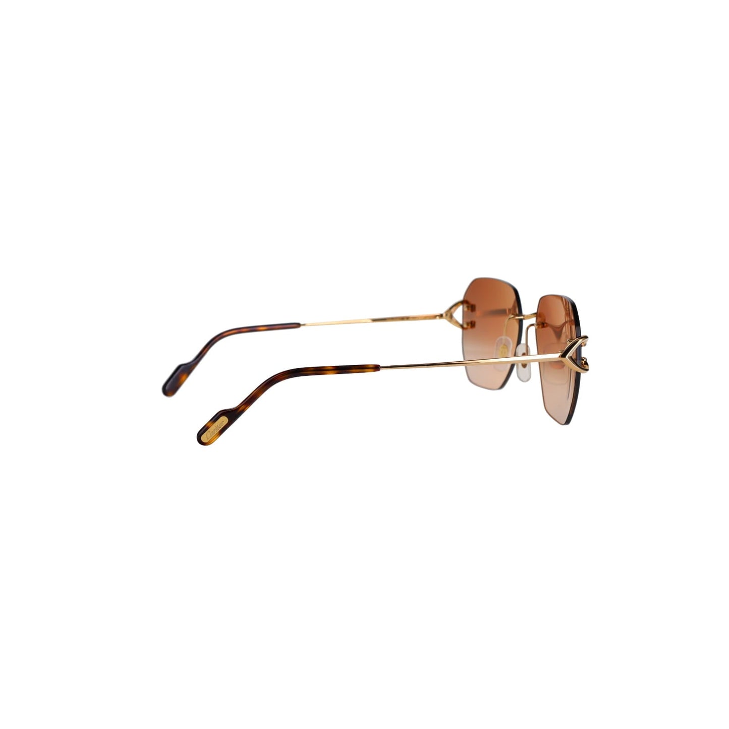CT0394S Signature C Sunglasses