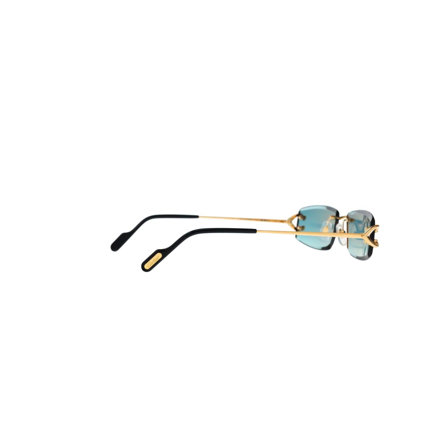 CT0465S Signature C  Rectangular Sunglasses