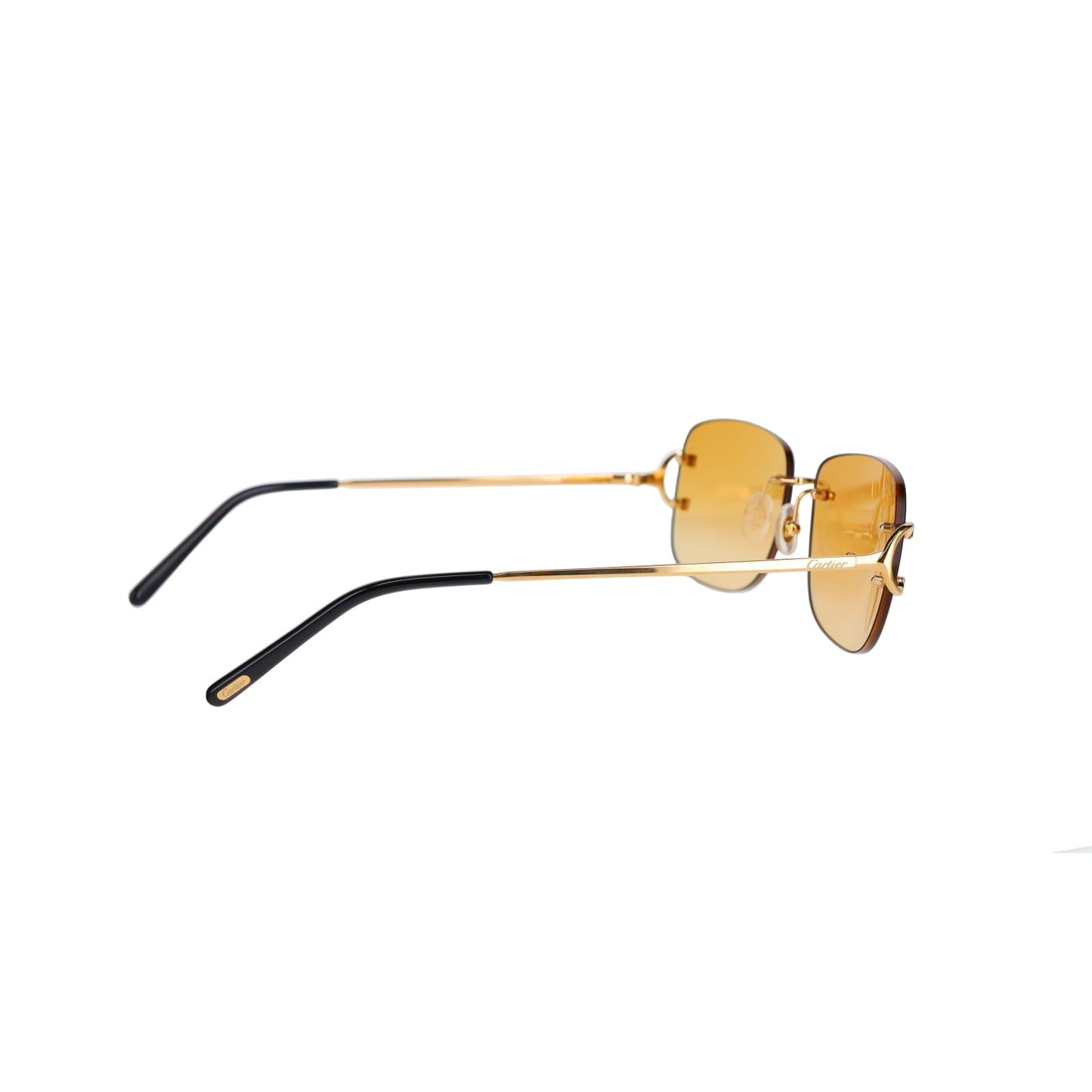 CT0011RS Signature C Sunglasses