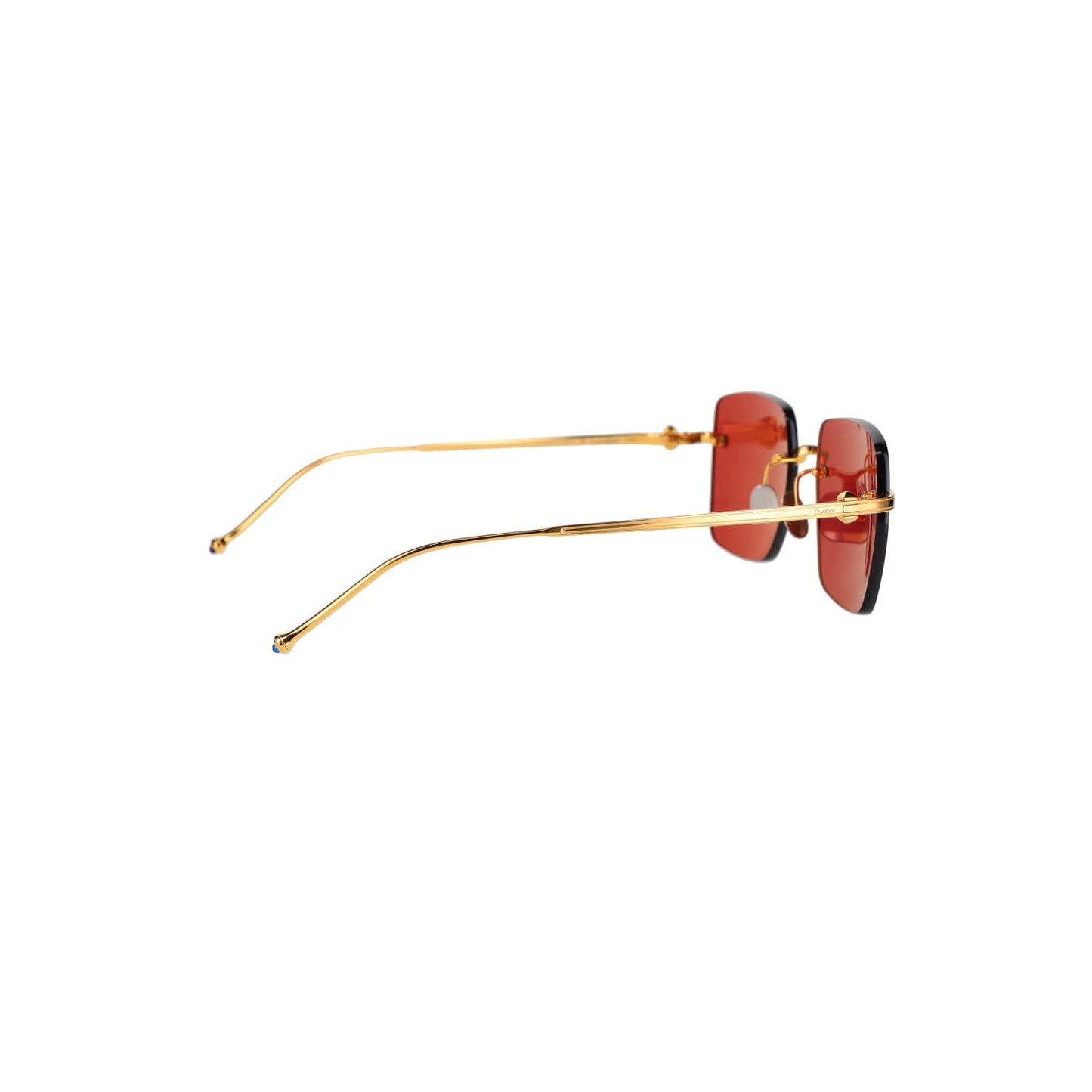 CT0403S Pasha Sunglasses
