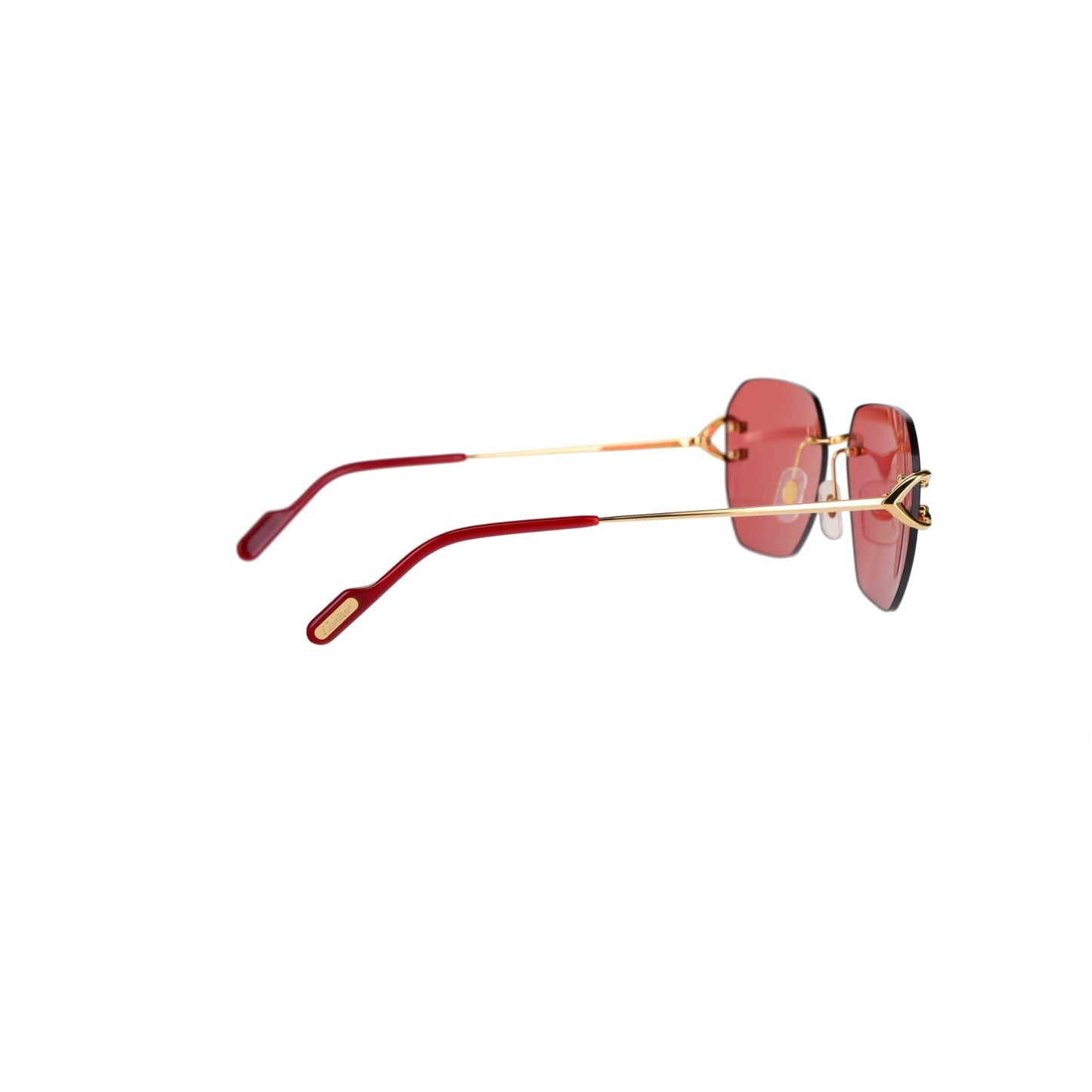 CT0394S Signature C Sunglasses