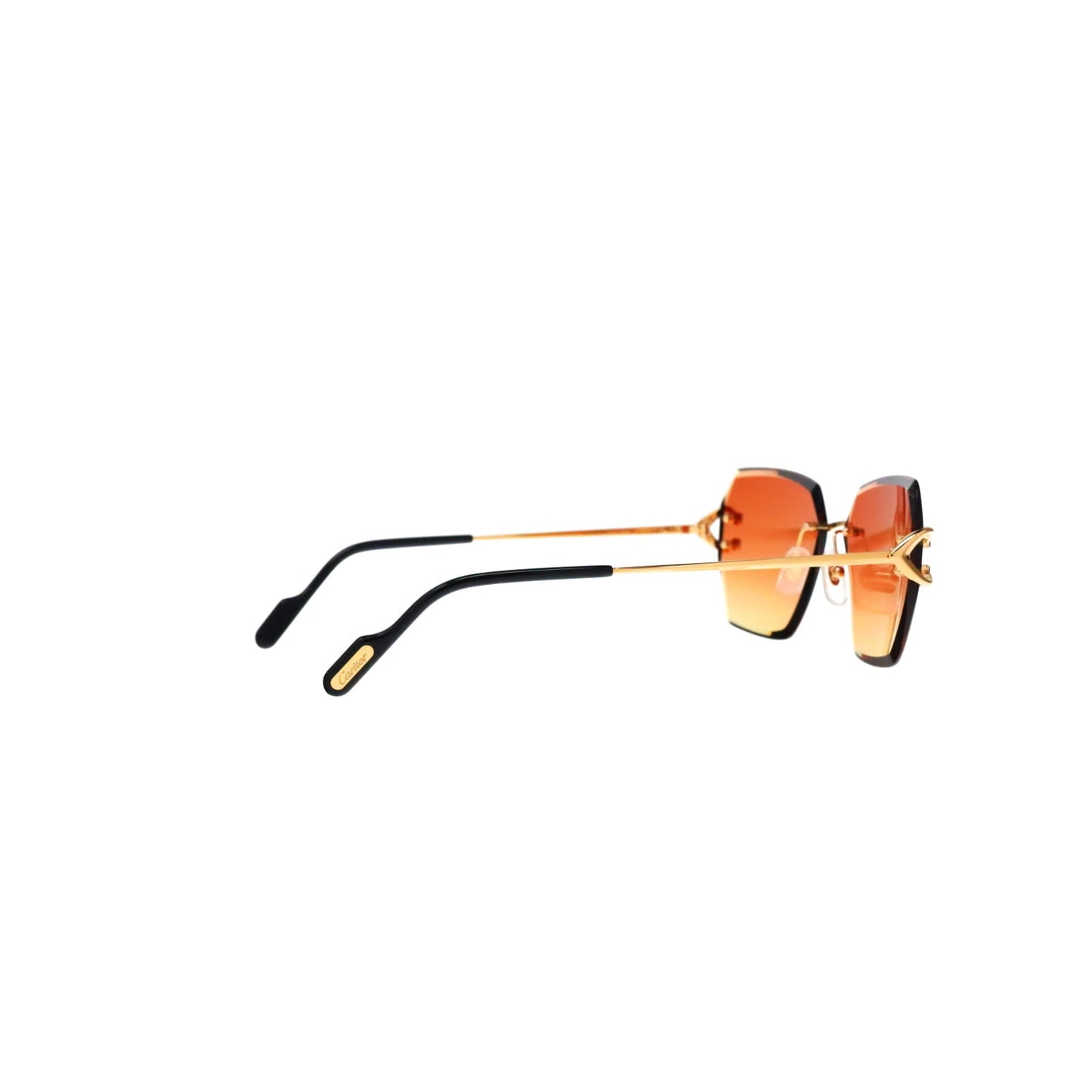 CT0466S  Signature C Sunglasses