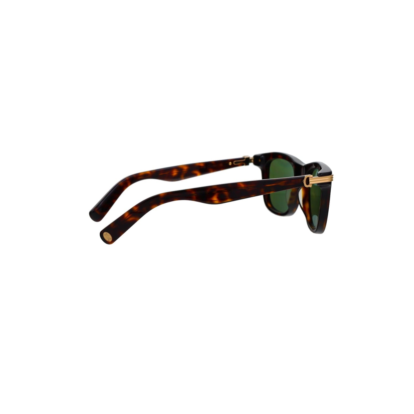 CT0396S Godron Contemporary Acetate Sunglasses