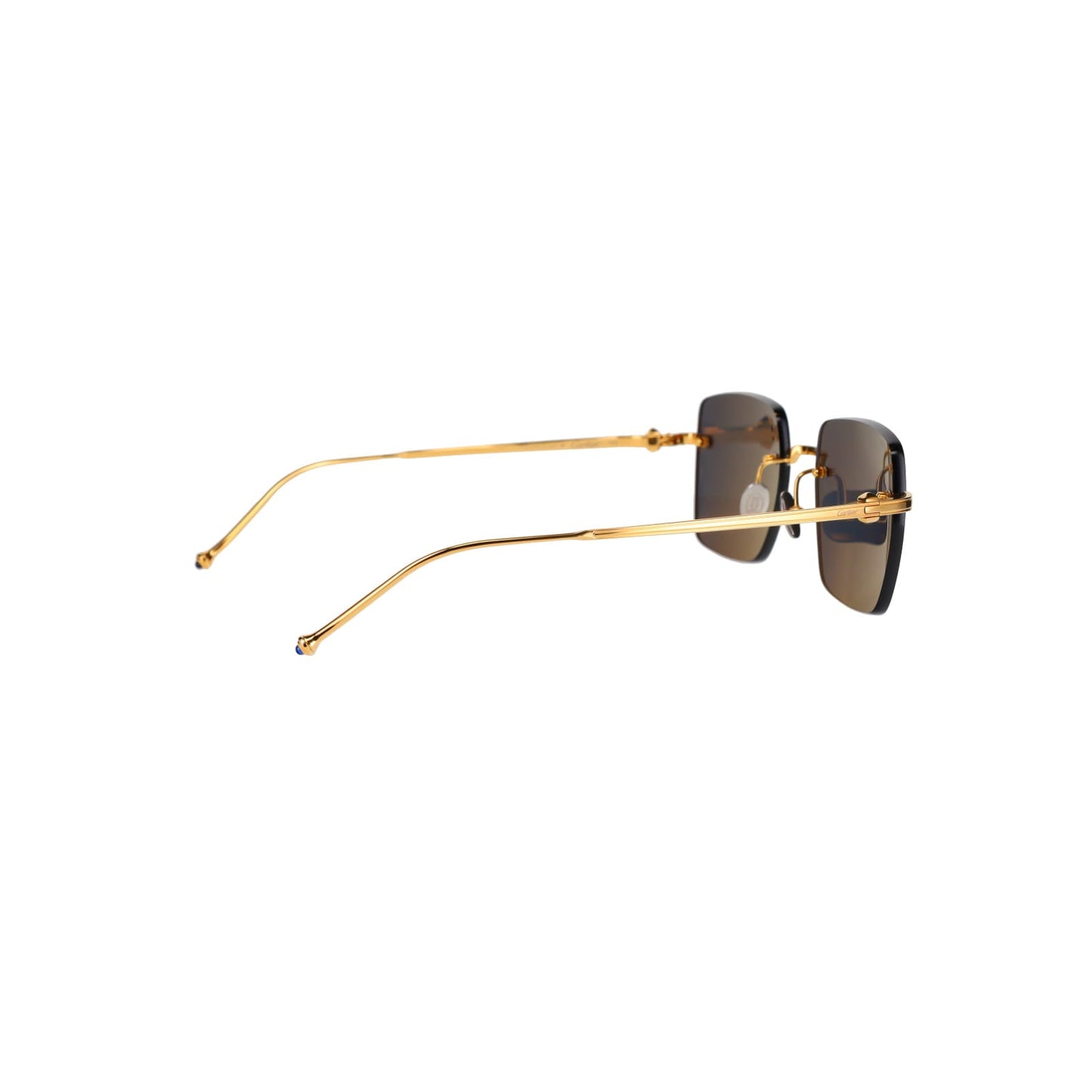 CT0403S Pasha Sunglasses