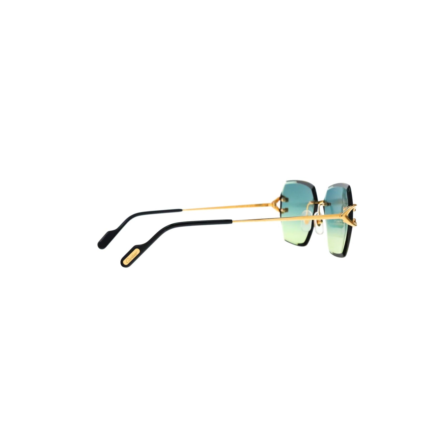 CT0466S  Signature C Sunglasses