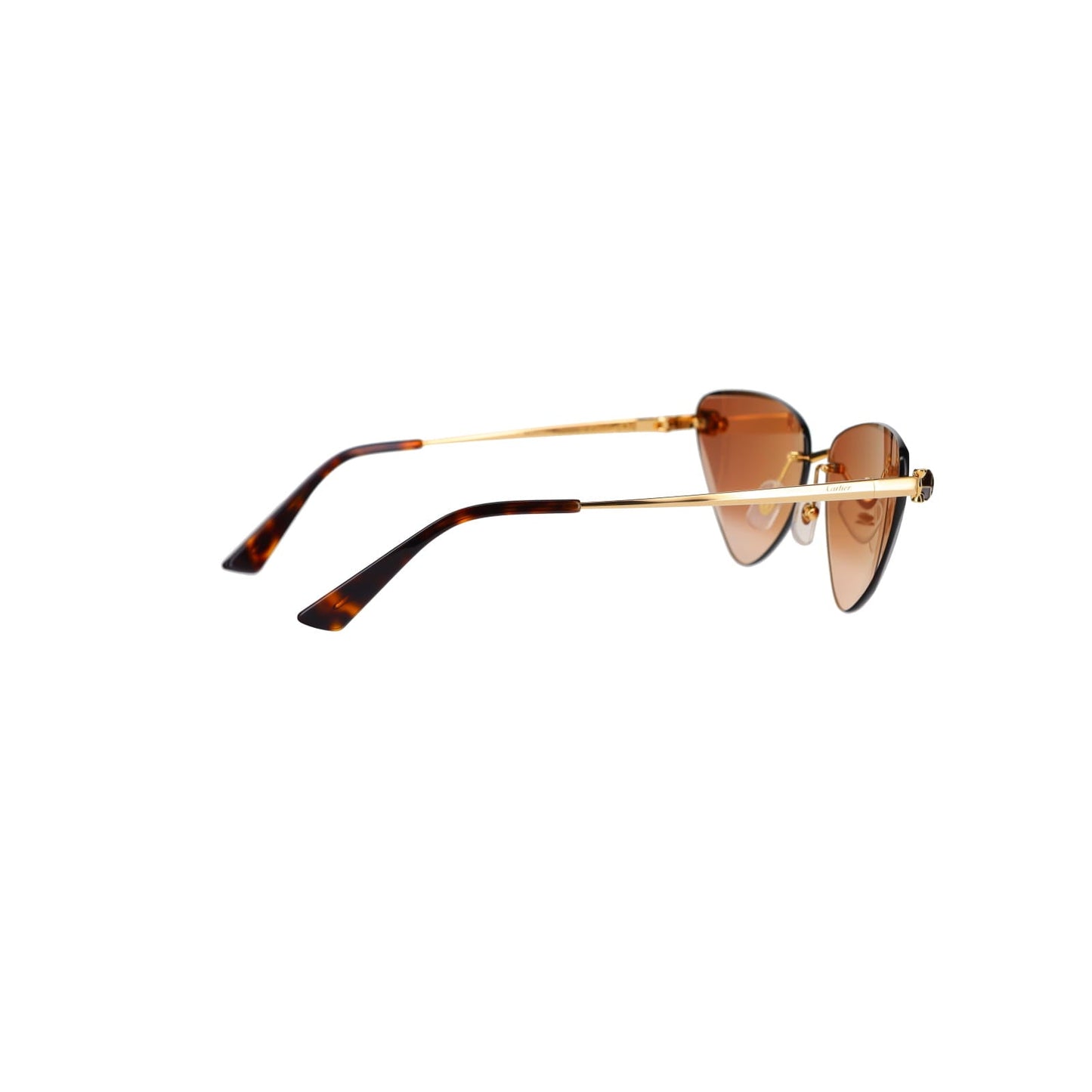 CT0399S Geometric Panthère Sunglasses